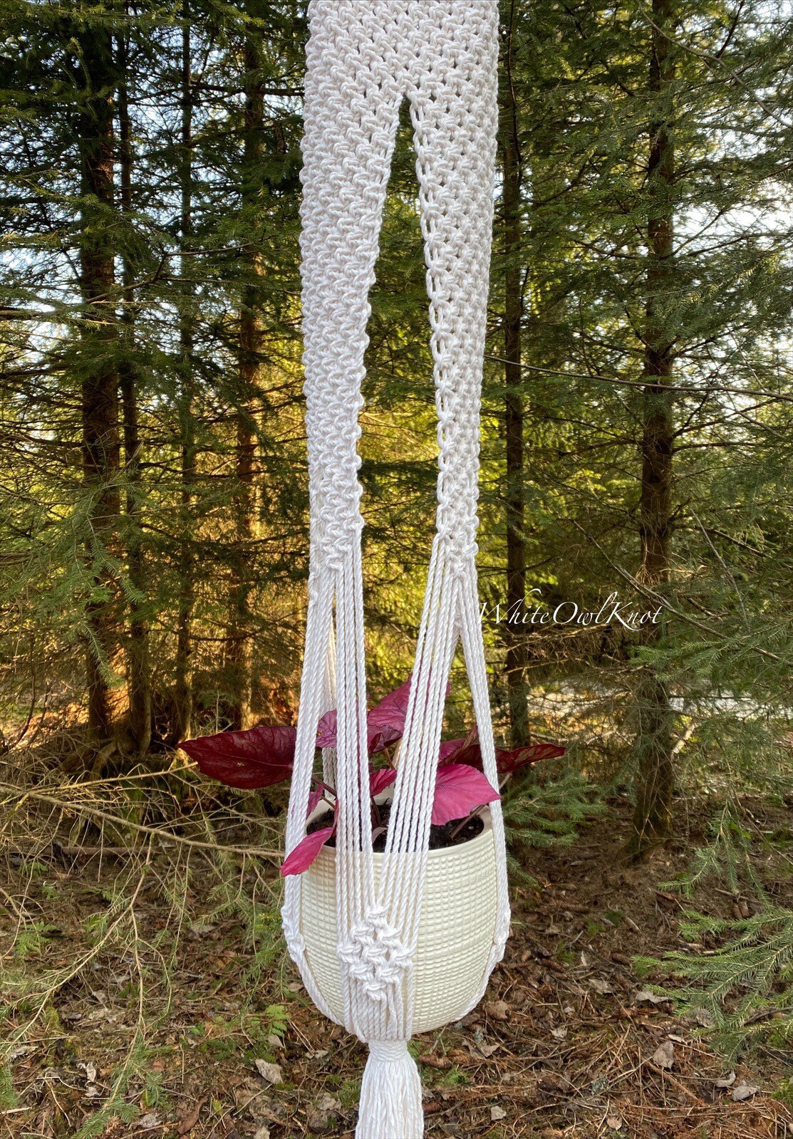 Macrame plant hanger with a plant in a forest setting
