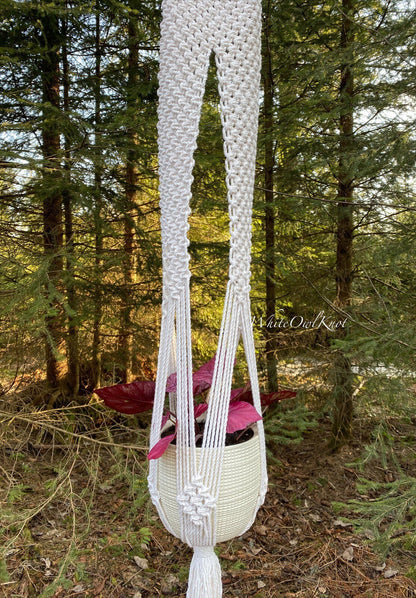 Macrame plant hanger with a plant in a forest setting