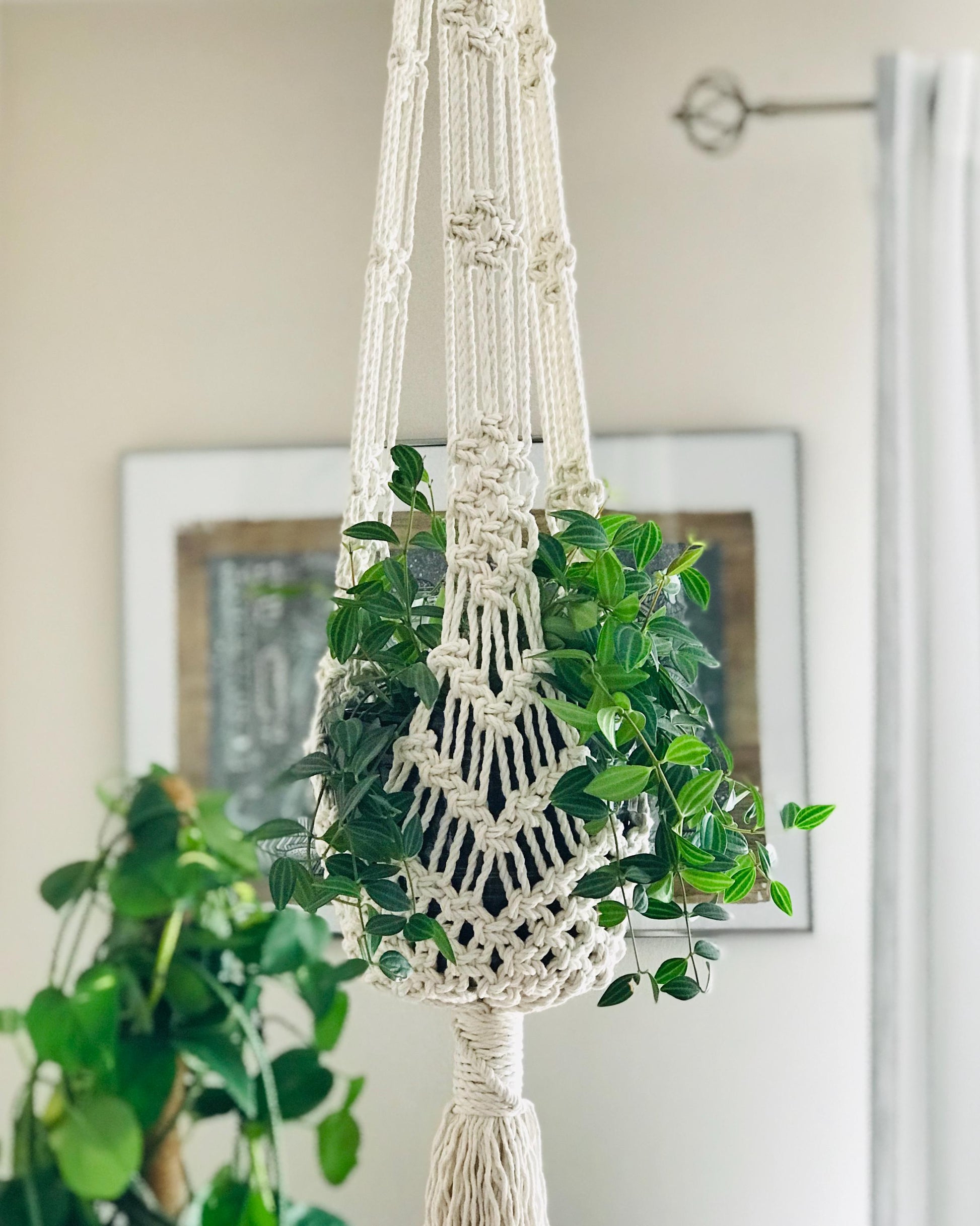 Macrame plant hanger with green plant against a neutral wall