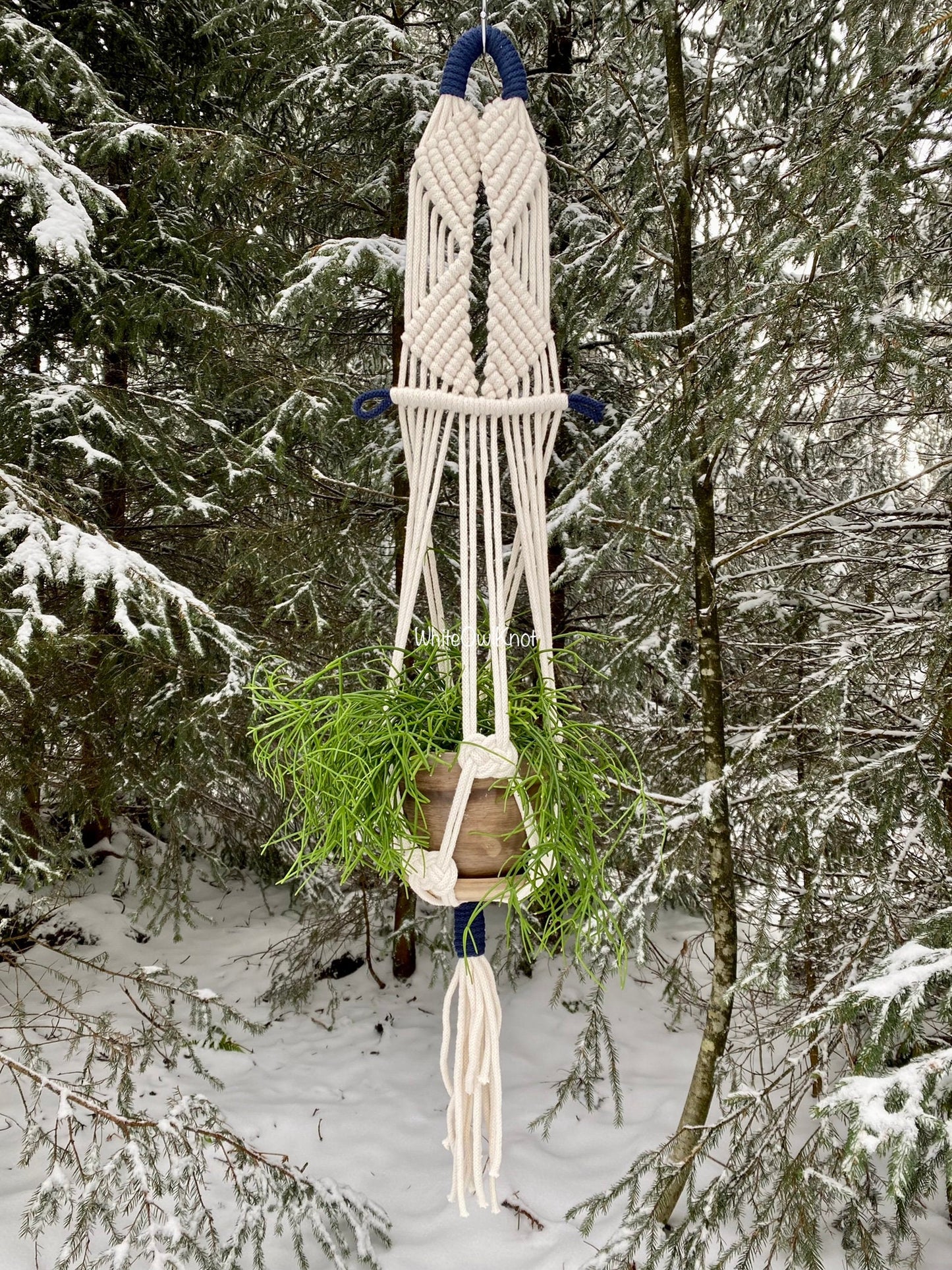 Macrame plant hanger with a plant against a snowy forest background