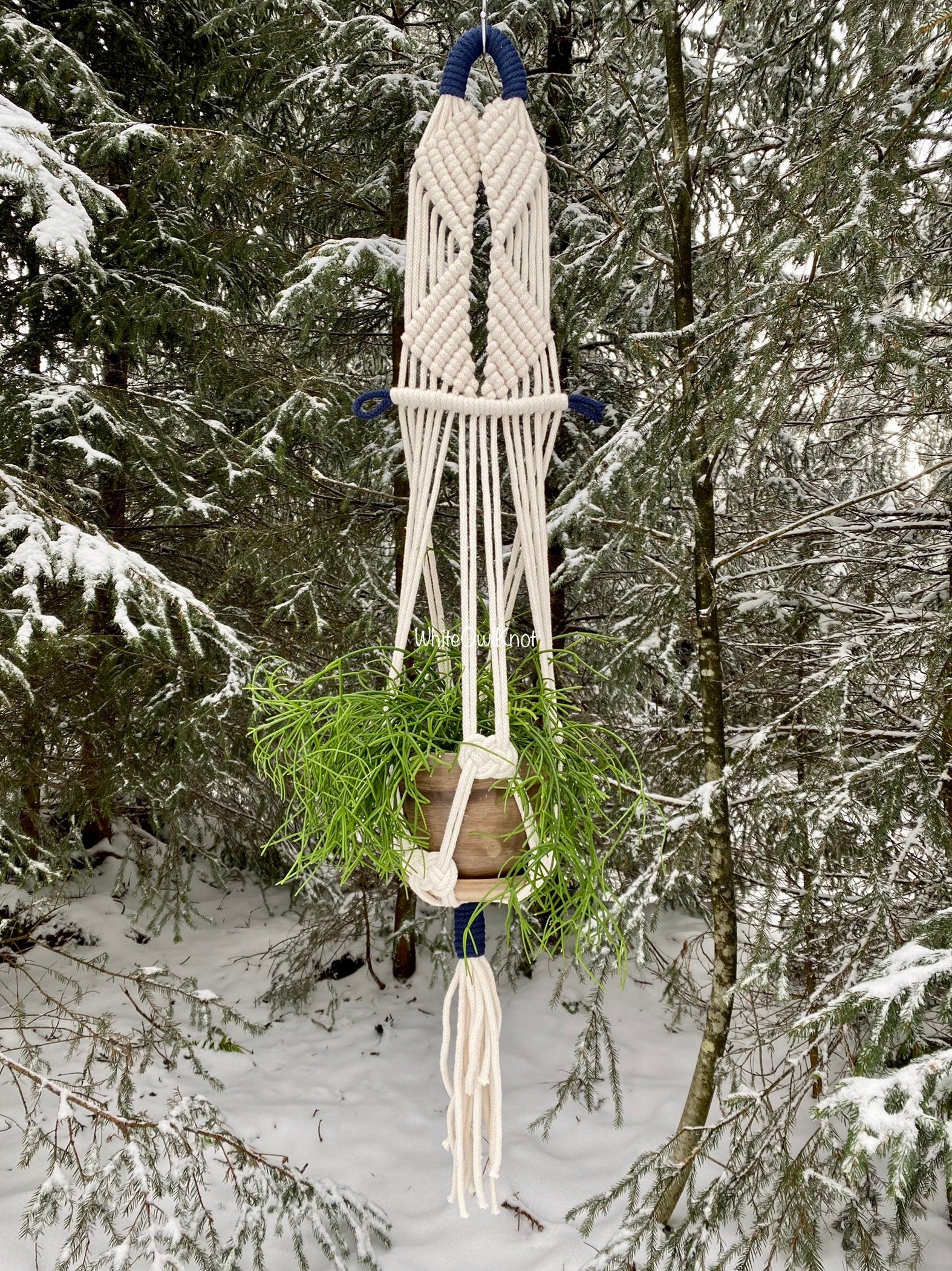 Macrame plant hanger with a plant against a snowy forest background