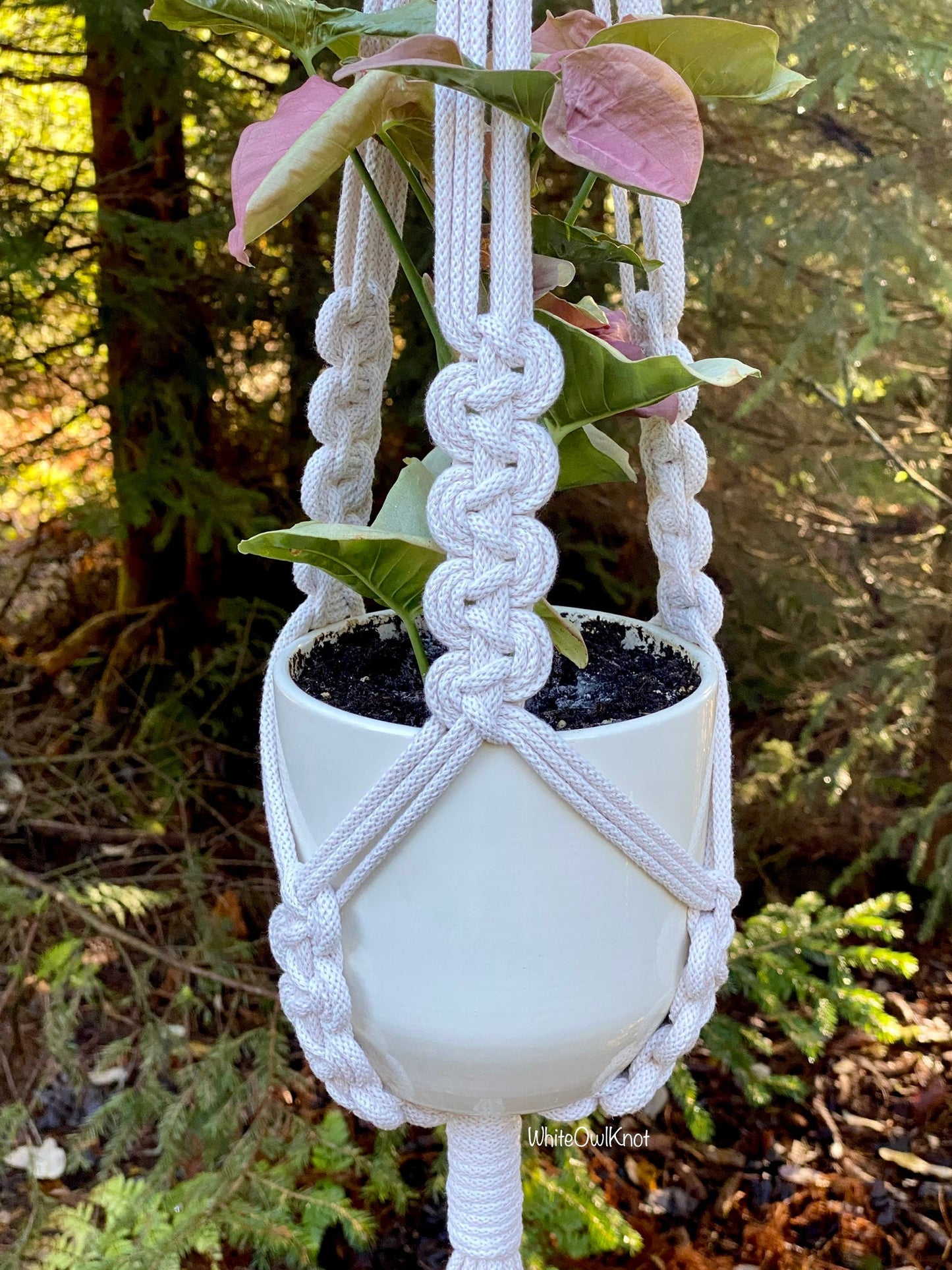 White macrame plant hanger with a potted plant against a natural background