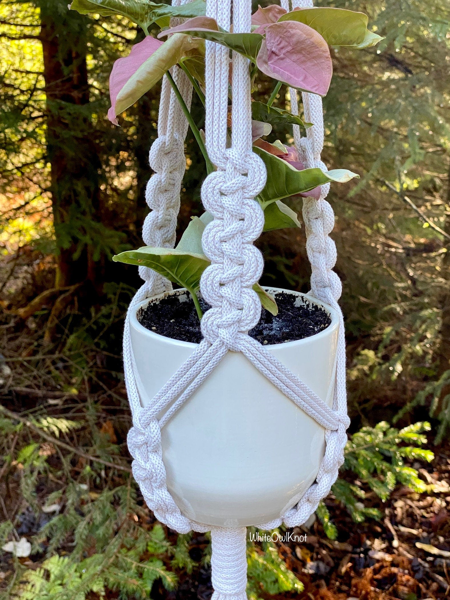 White macrame plant hanger with a potted plant against a natural background