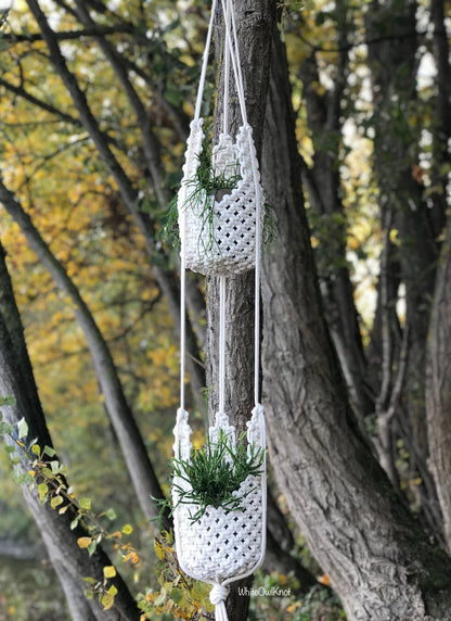 Macrame plant hanger with plants hanging from a tree
