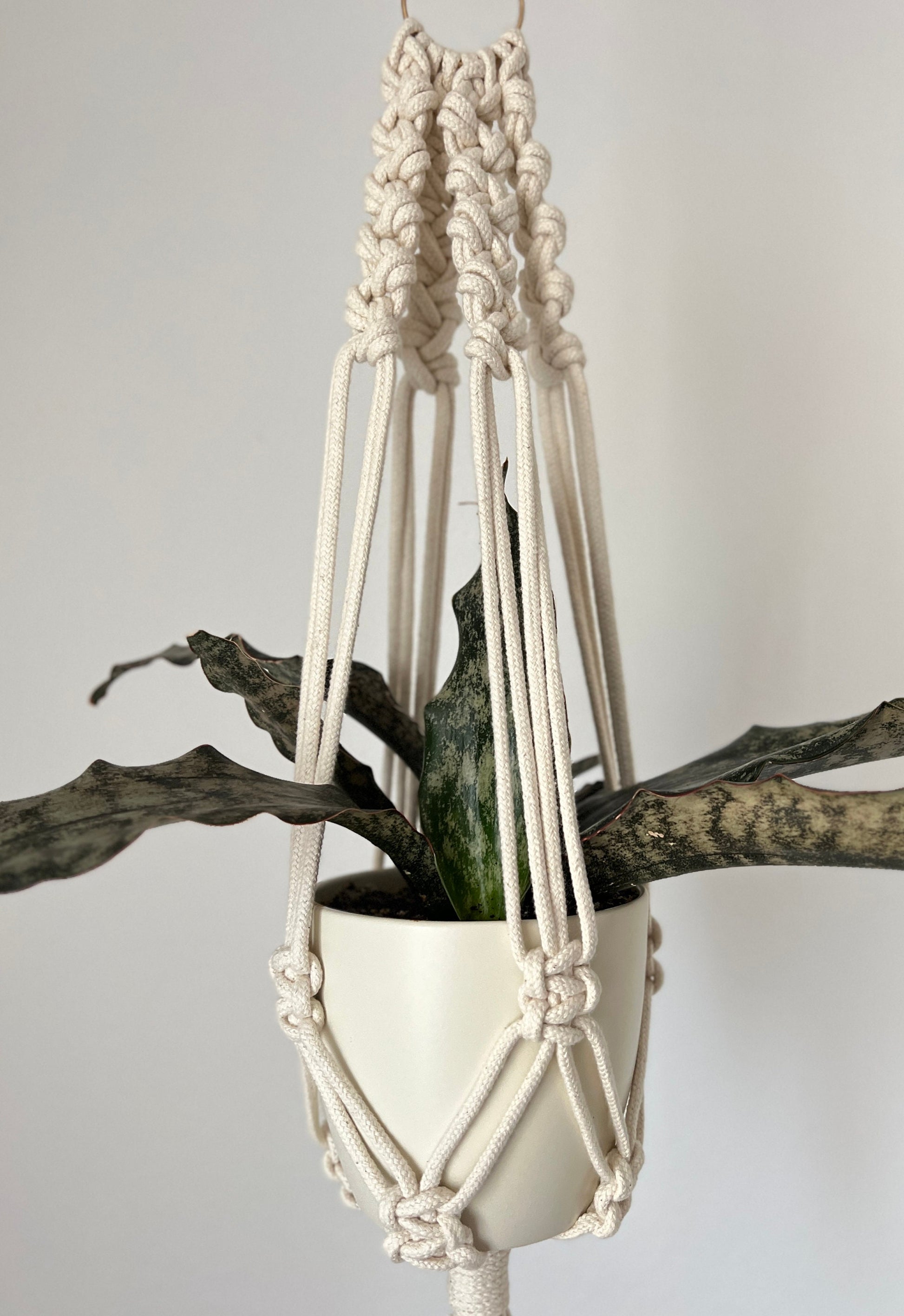 Macrame plant hanger with a plant against a plain background
