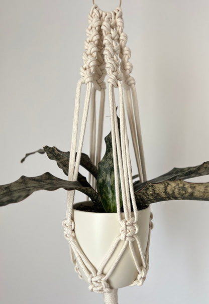Macrame plant hanger with a plant against a plain background
