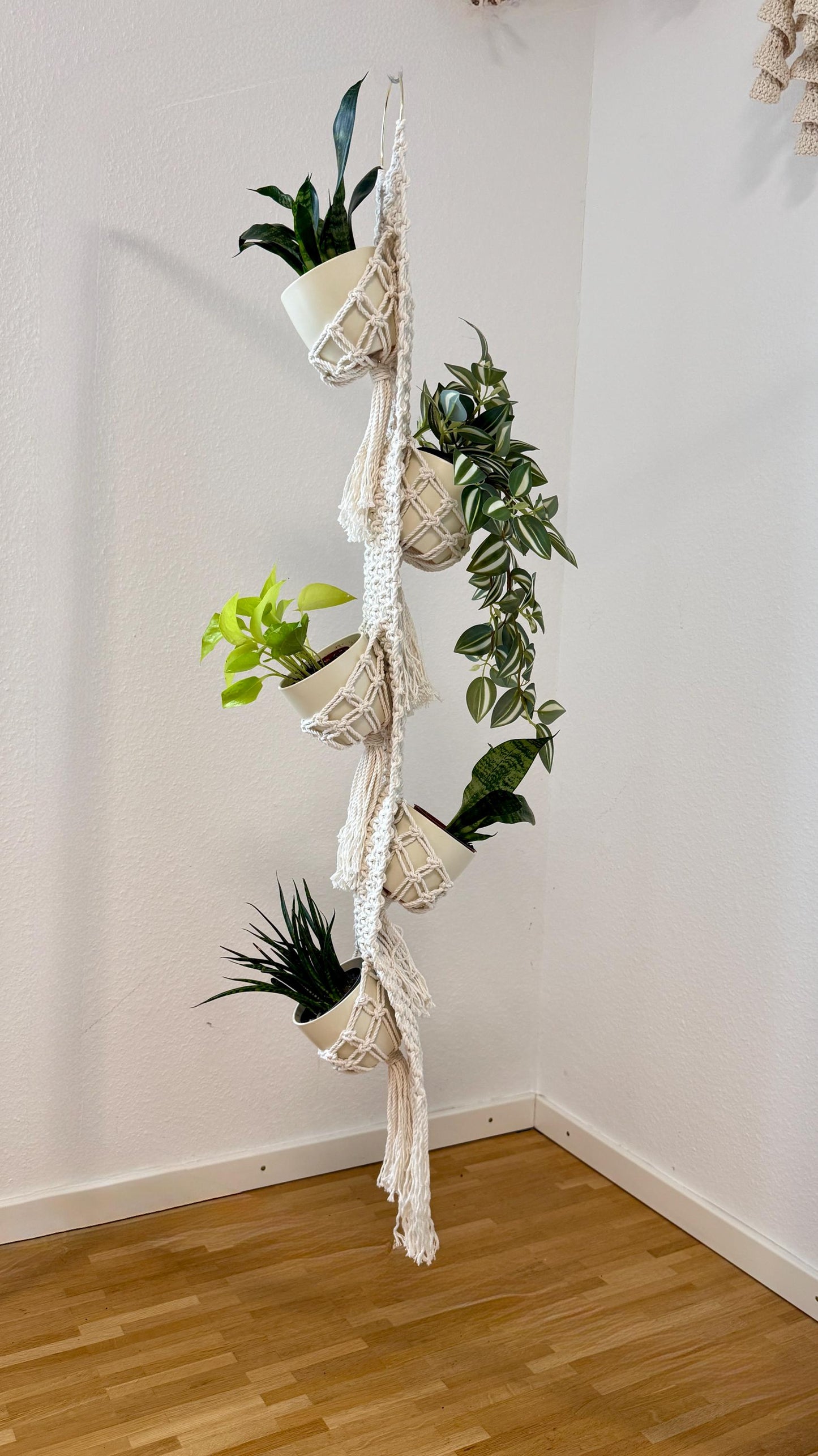 Macrame plant hanger with various potted plants against a white wall.