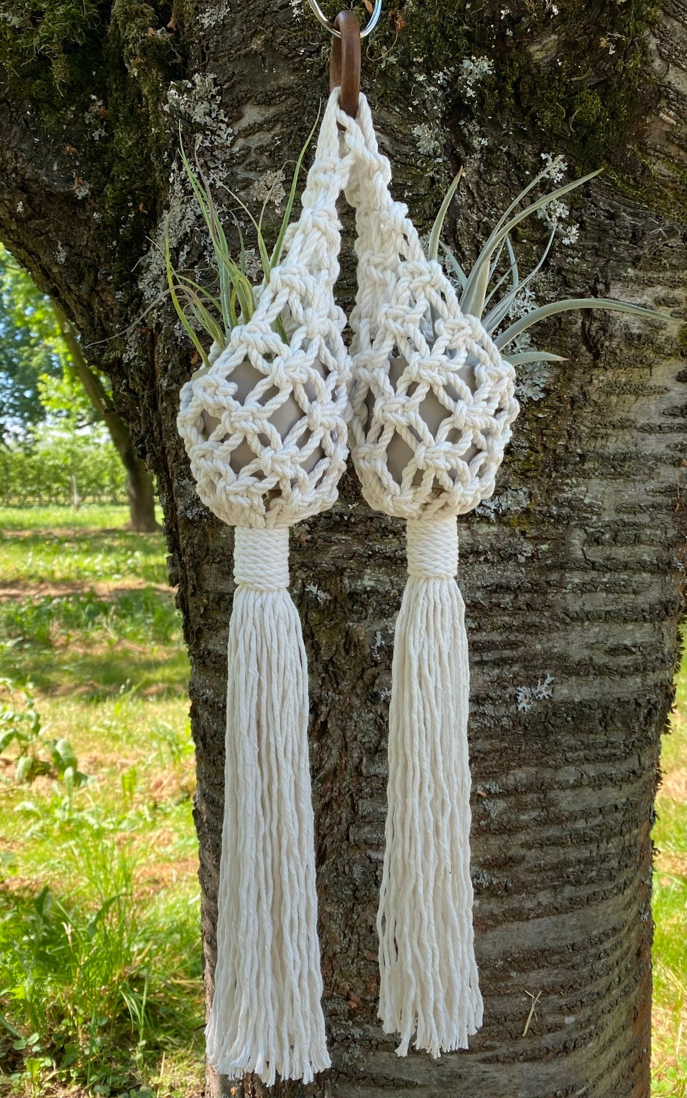 Macrame earrings with tassels hanging from a tree
