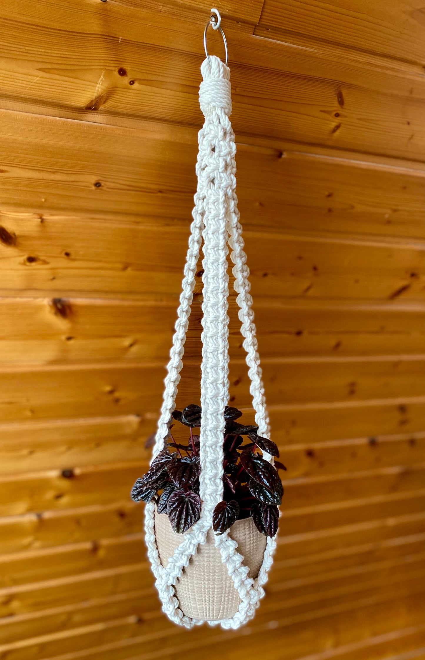 Macrame plant hanger with a plant against a wooden background