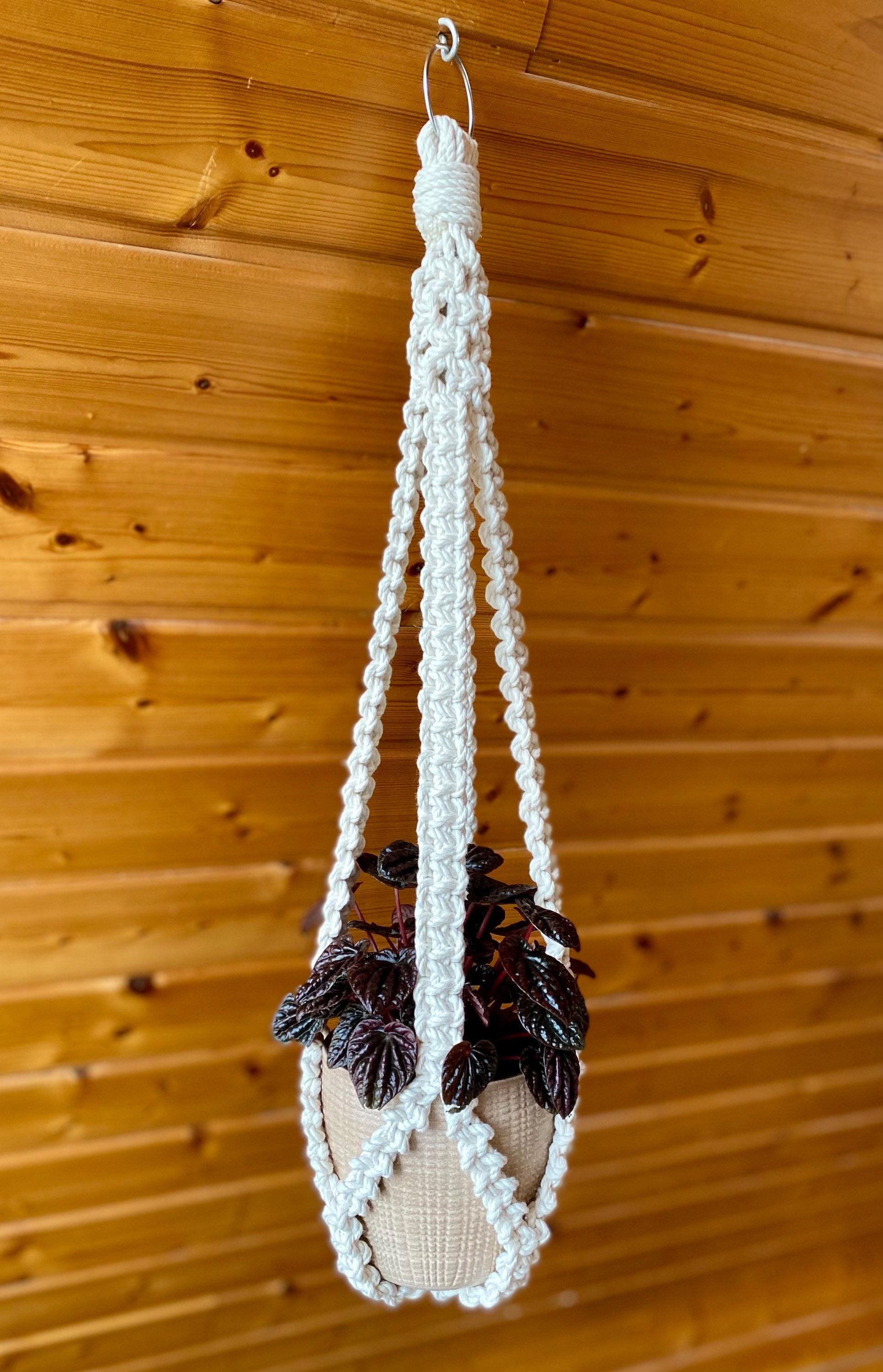 Macrame plant hanger with a plant against a wooden background