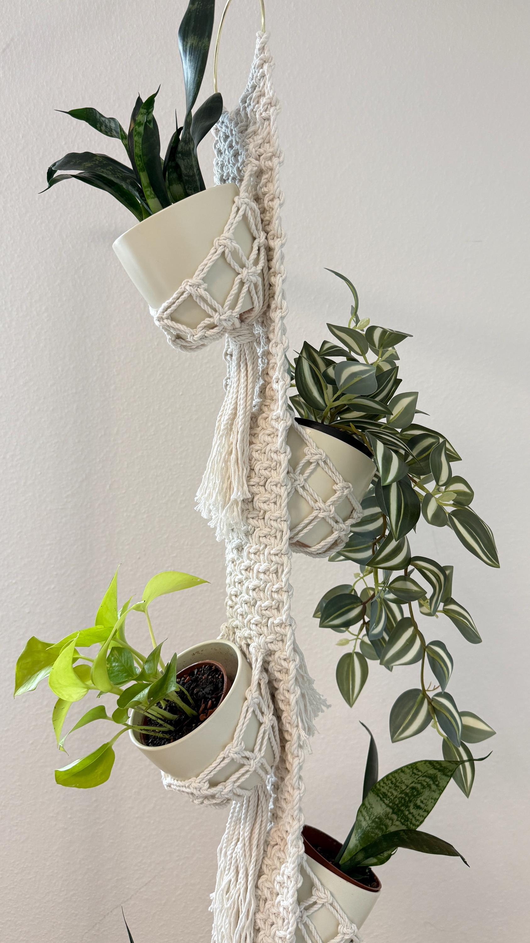 Macrame plant hanger with multiple potted plants against a plain background