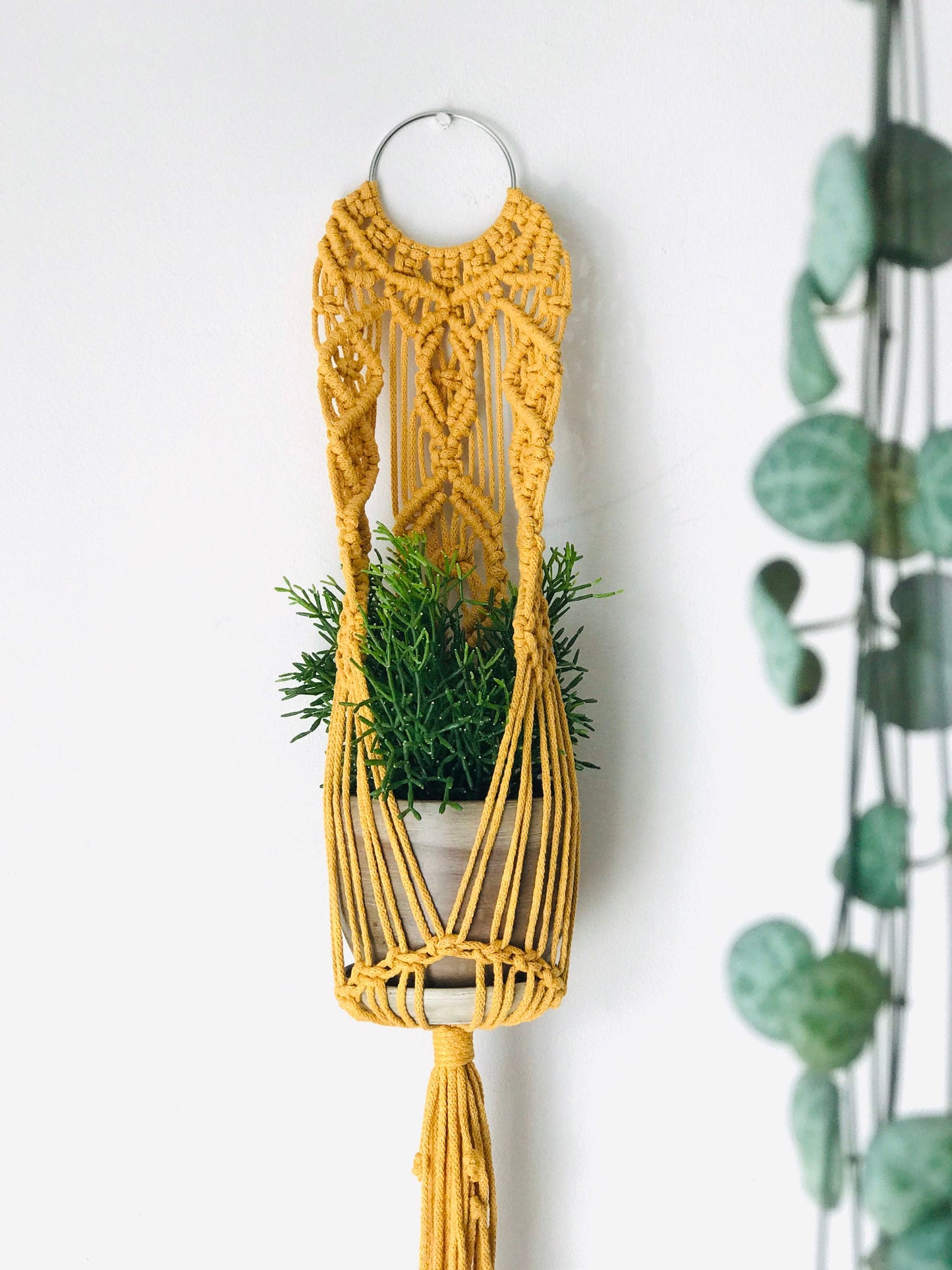 Yellow macrame plant hanger with a plant against a white wall