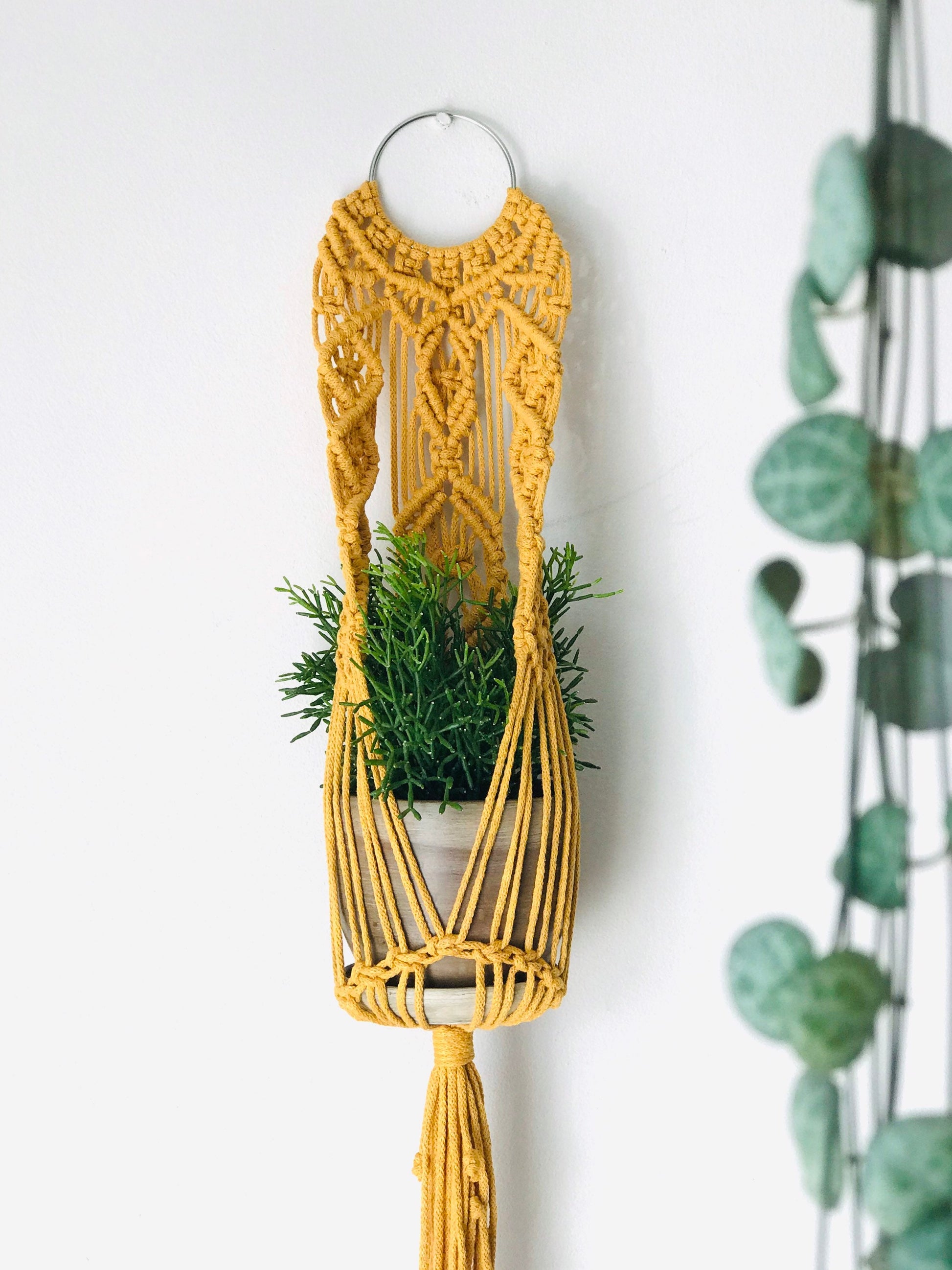 Yellow macrame plant hanger with a plant against a white wall