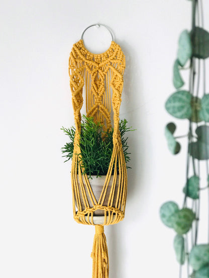 Yellow macrame plant hanger with a plant against a white wall