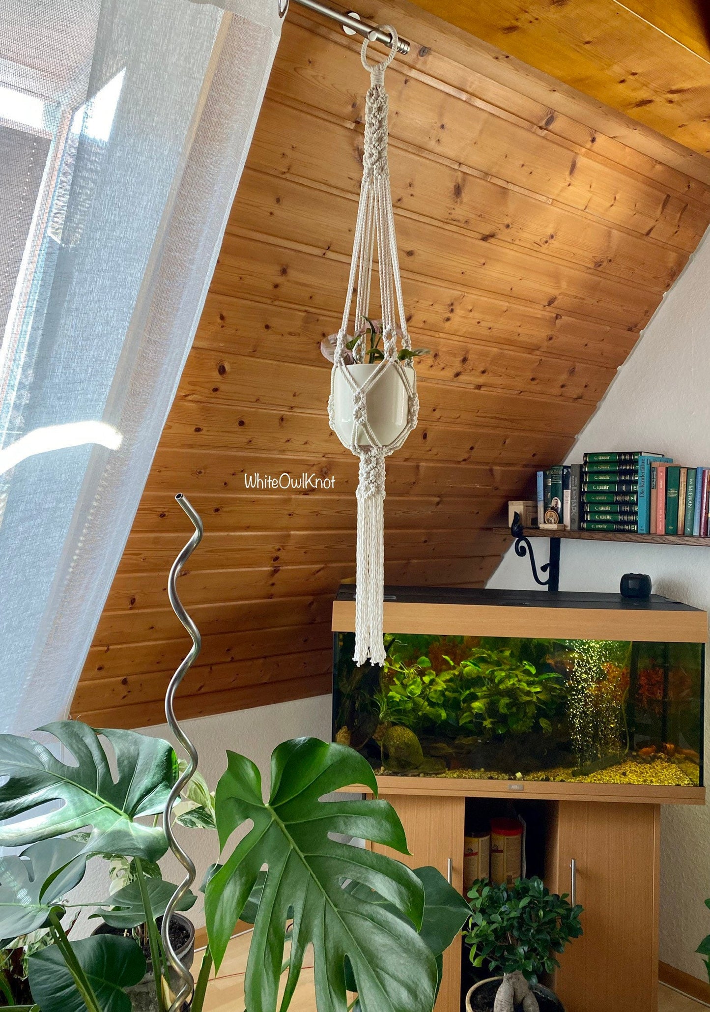 Indoor setting with a macrame plant hanger, aquarium, and books on a shelf.