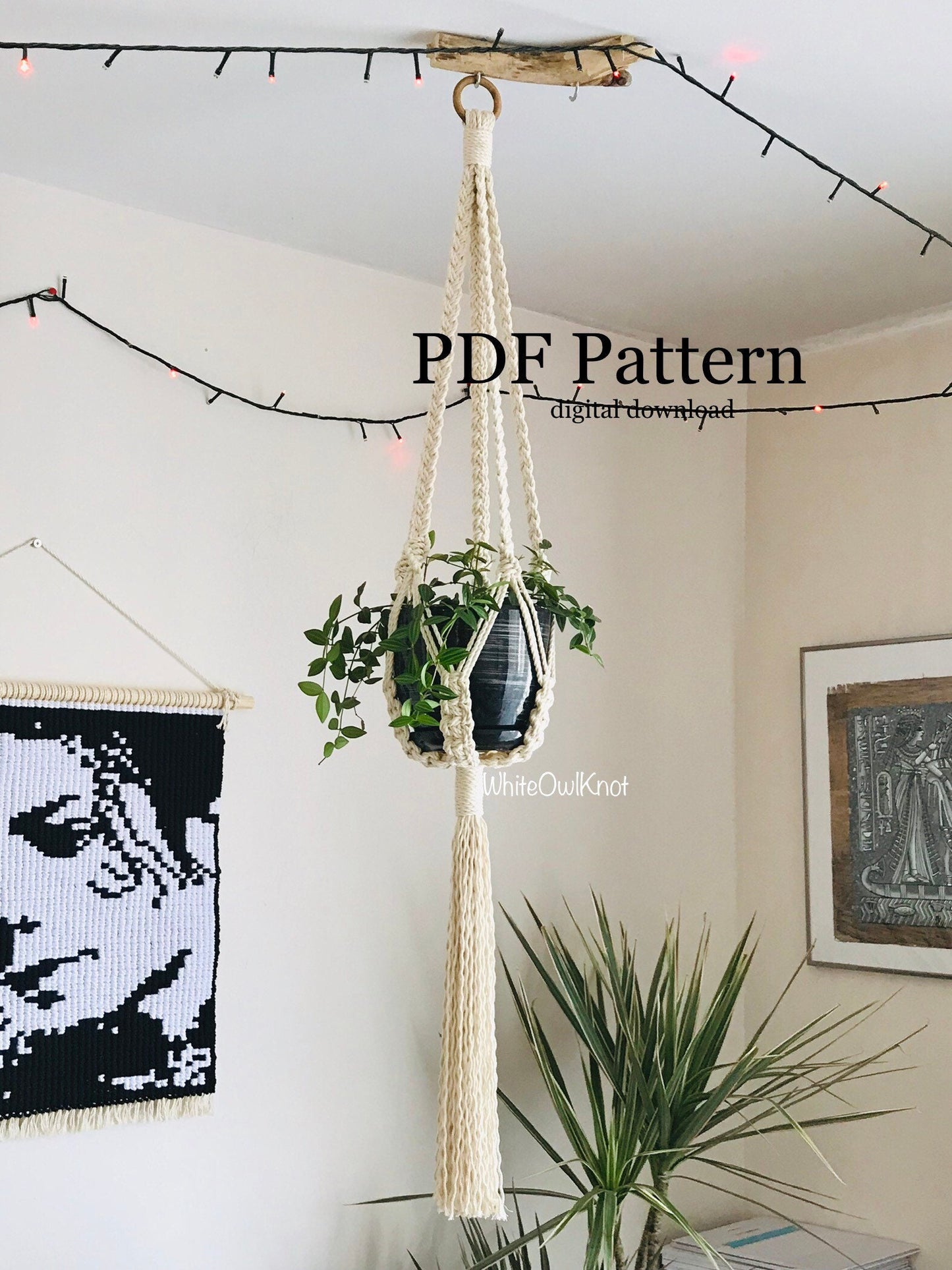 Macrame plant hanger with a plant against a wall with decorative elements.