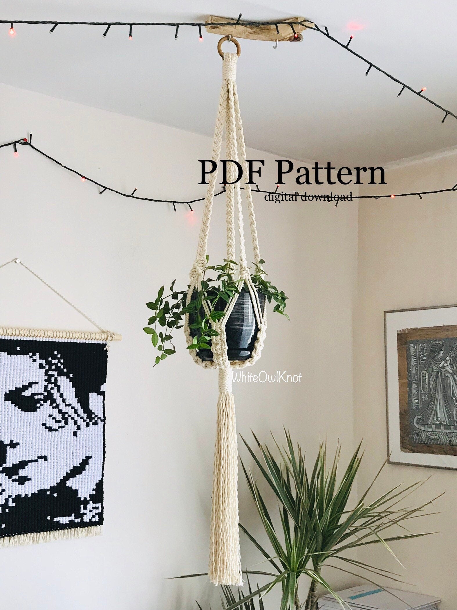 Macrame plant hanger with a plant against a wall with decorative elements.