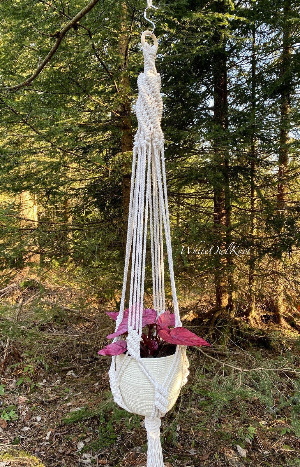 Macrame plant hanger with a plant in a forest setting