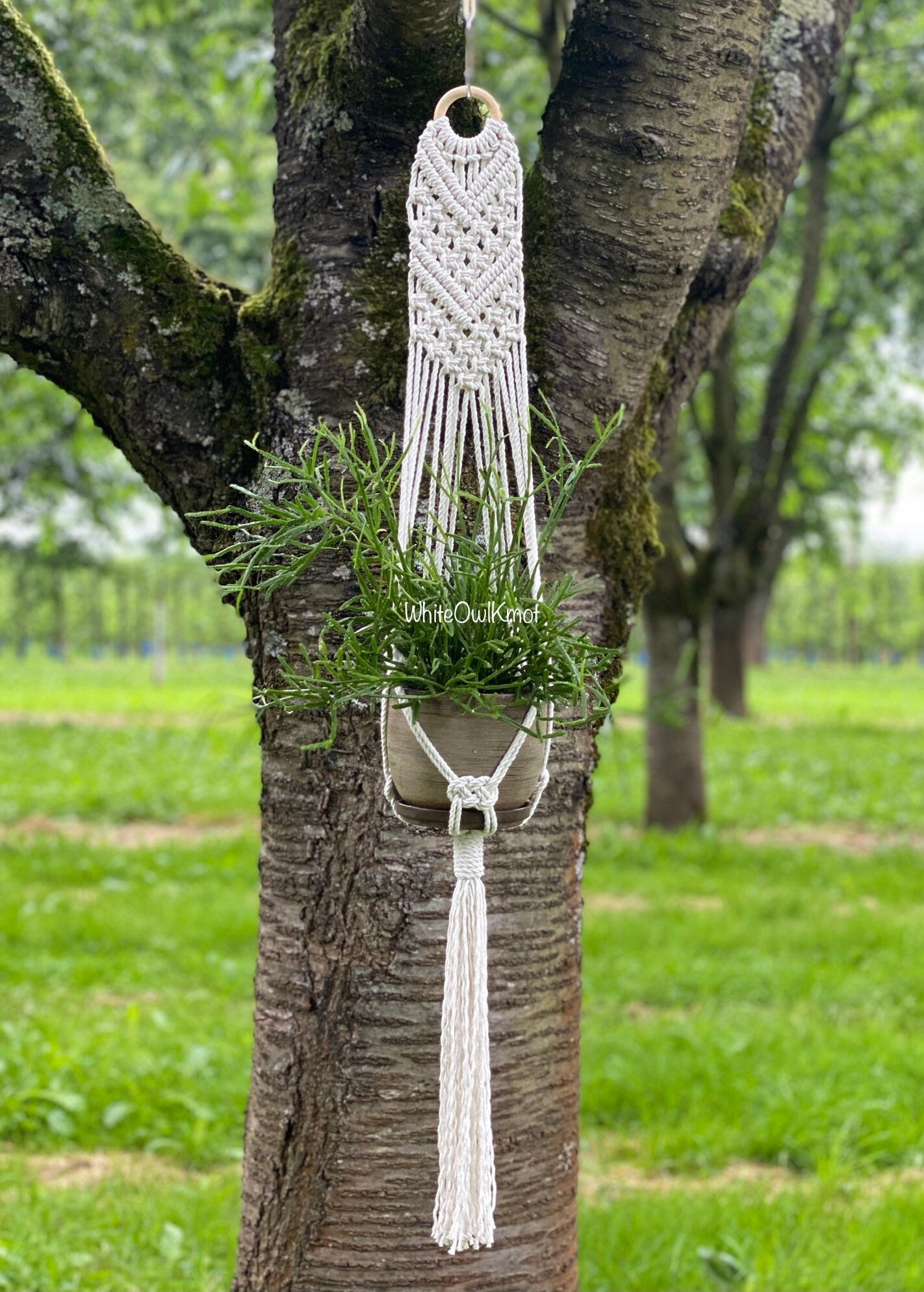 Macrame plant hanger with tassel hanging from a tree in a garden setting