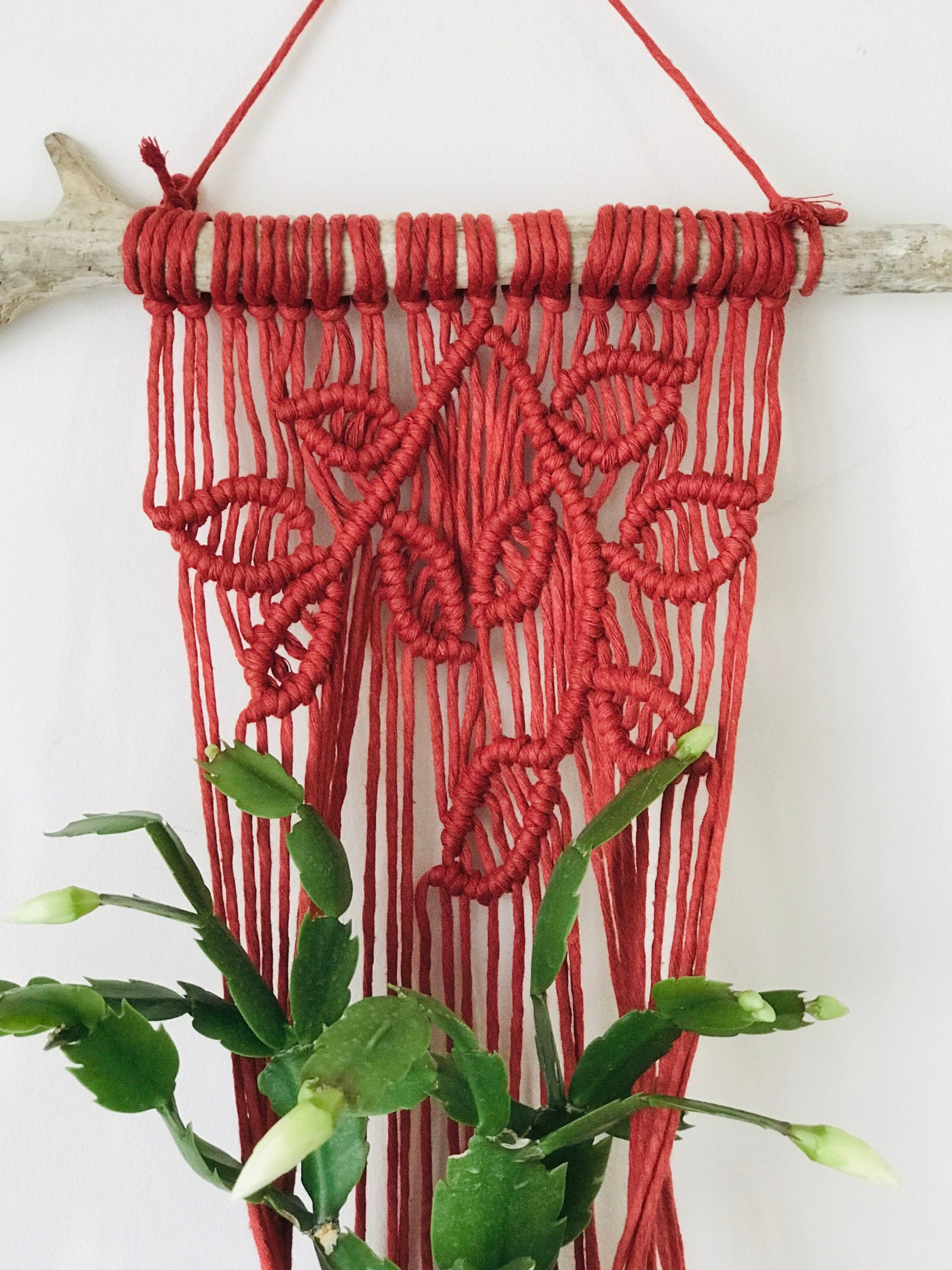 Red macrame wall hanging with a plant in the foreground on a white background