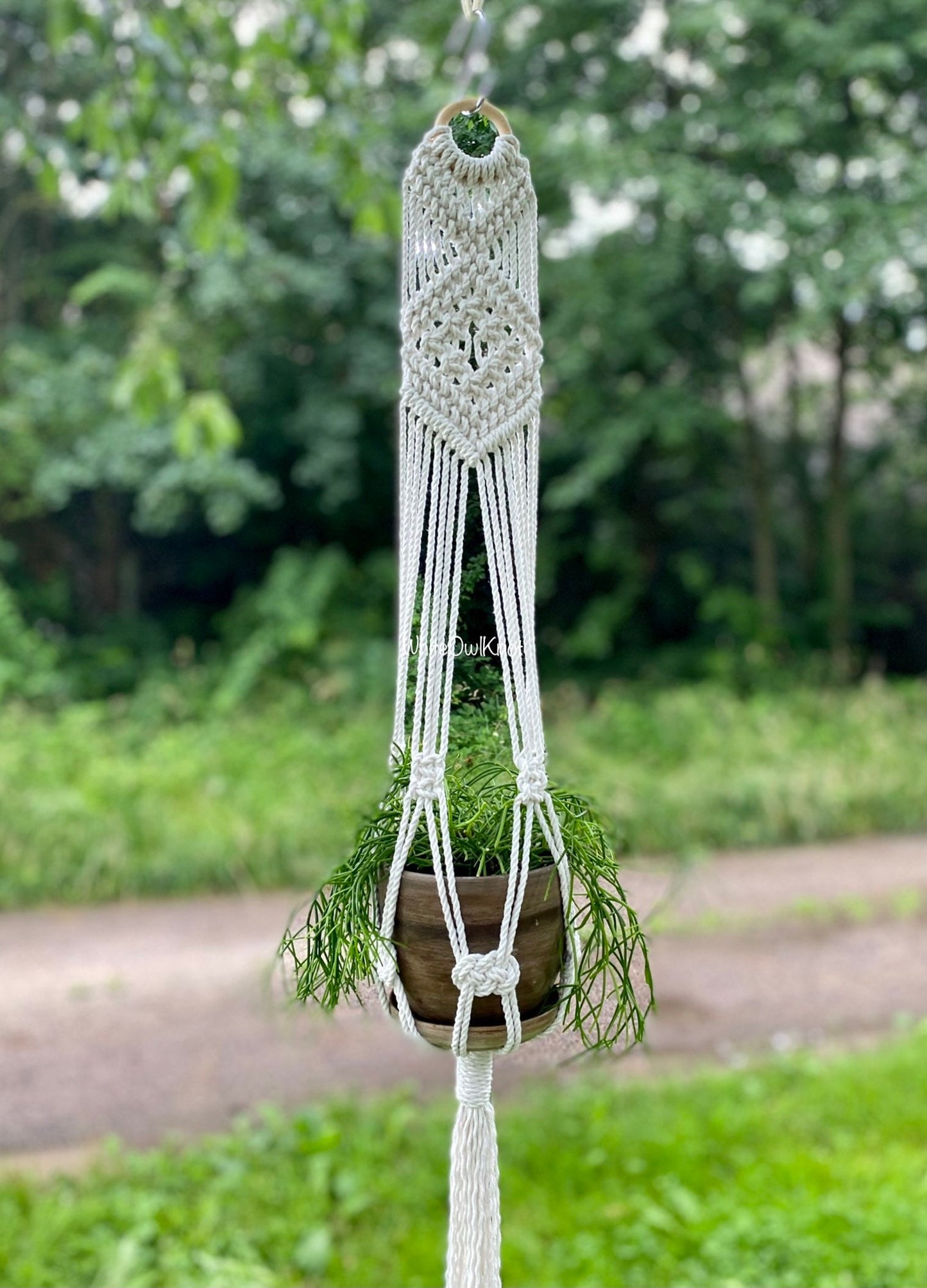 Macrame plant hanger with a plant against a natural background