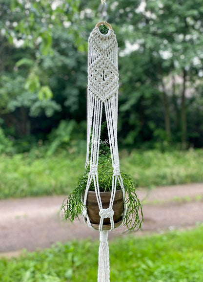 Macrame plant hanger with a plant against a natural background