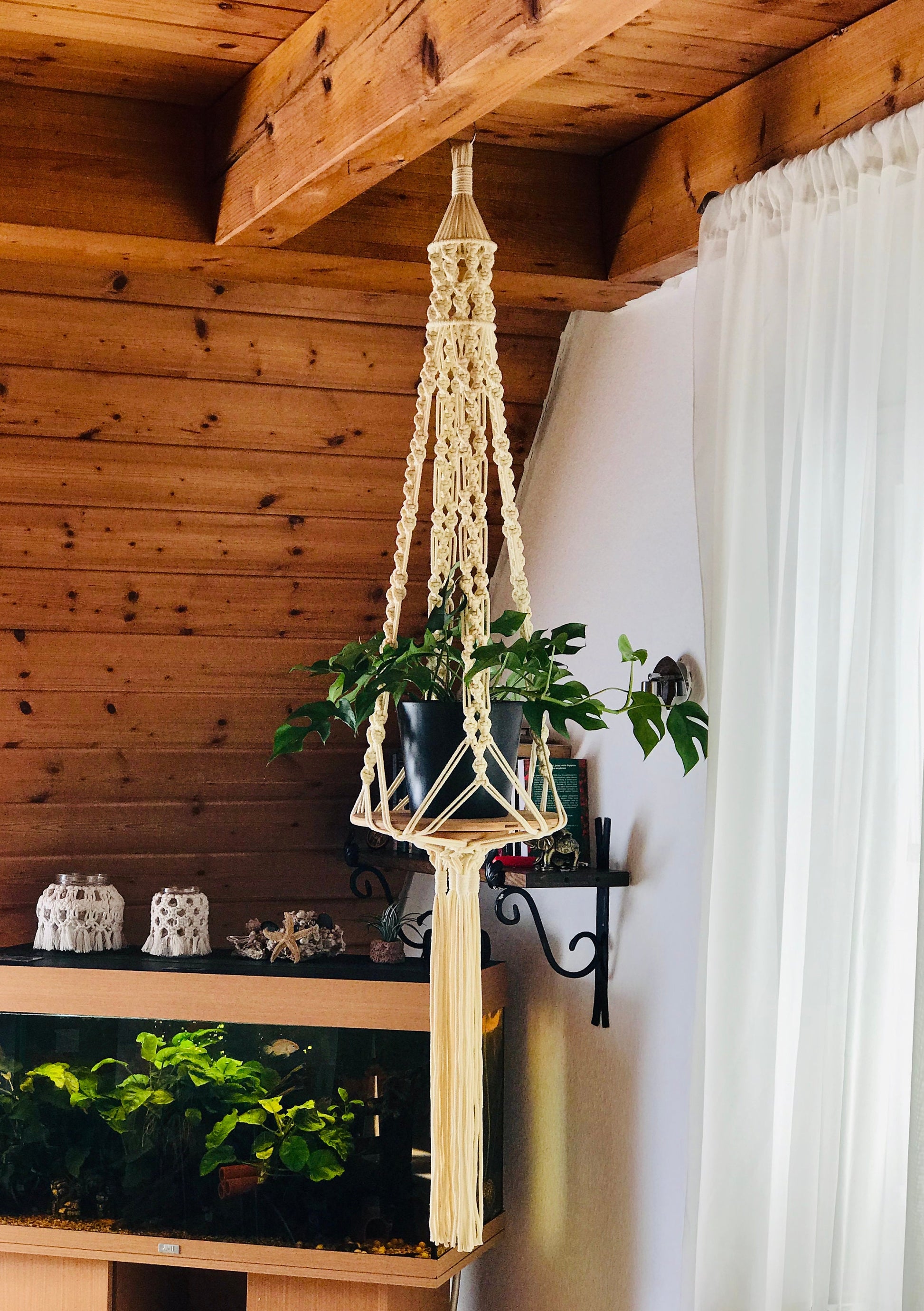 Macrame plant hanger with plants against a wooden wall and white curtain.