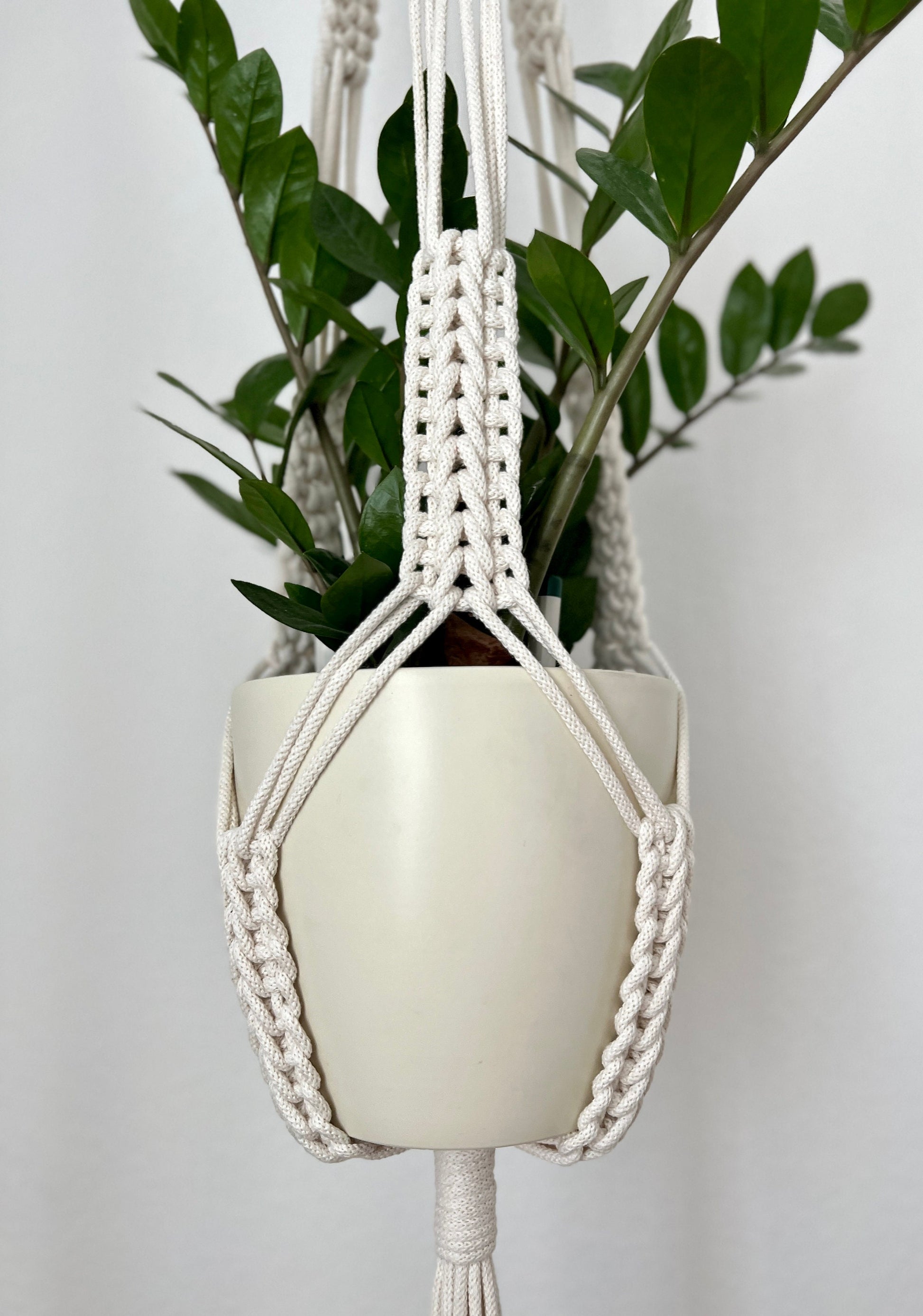 Macrame plant hanger with a white pot and green plant against a plain background