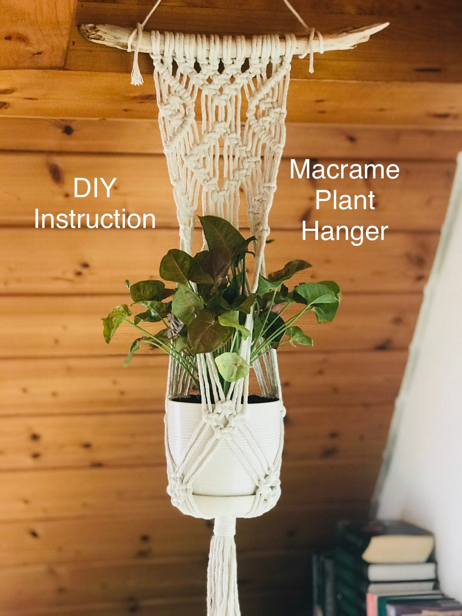 Macrame plant hanger with a plant against a wooden wall.