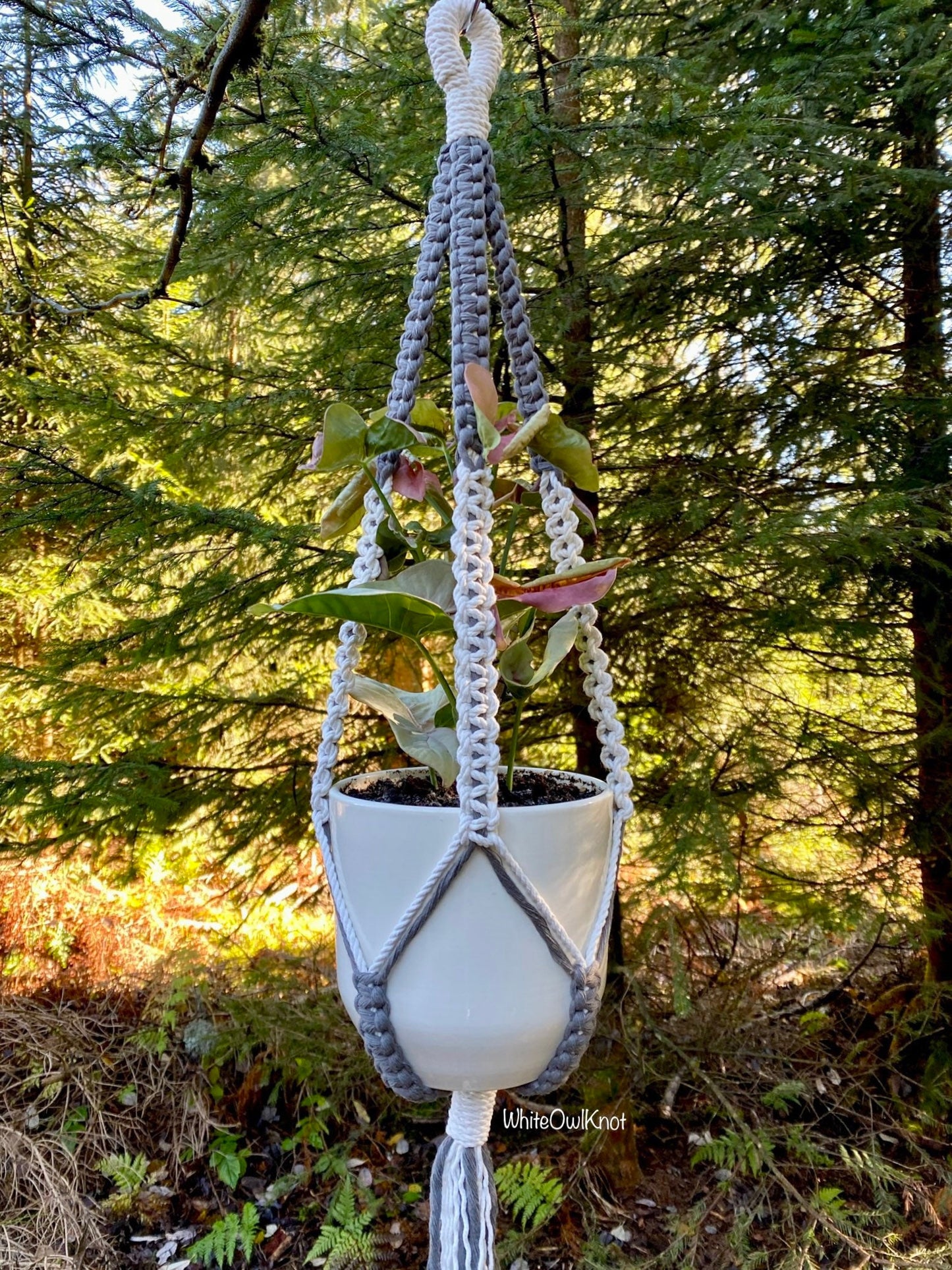 Macrame plant hanger with a white pot holding a plant, set against a forest background.