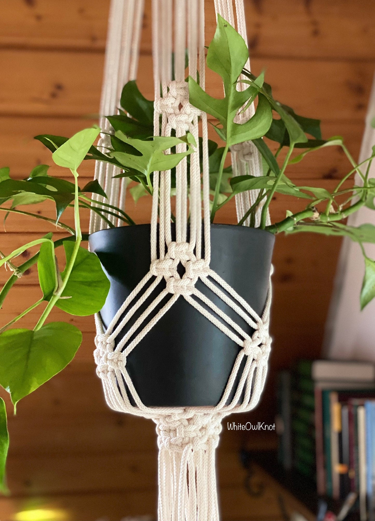 Macrame plant hanger with a black pot and green plant against a wooden wall.