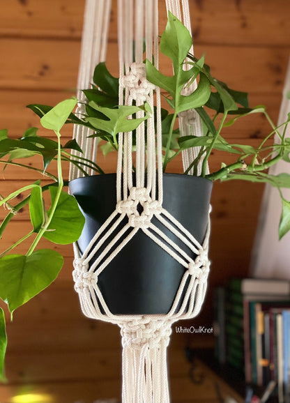 Macrame plant hanger with a black pot and green plant against a wooden wall.