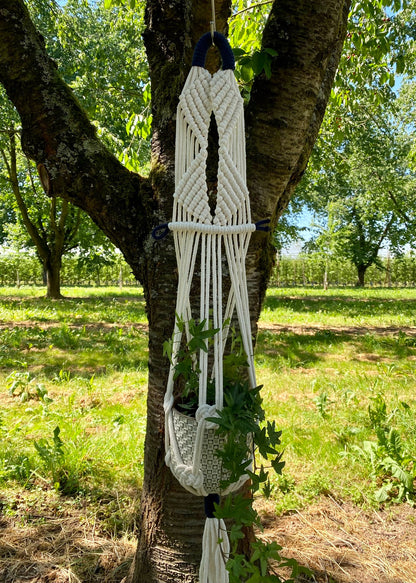 Macrame plant hanger hanging from a tree in an outdoor setting