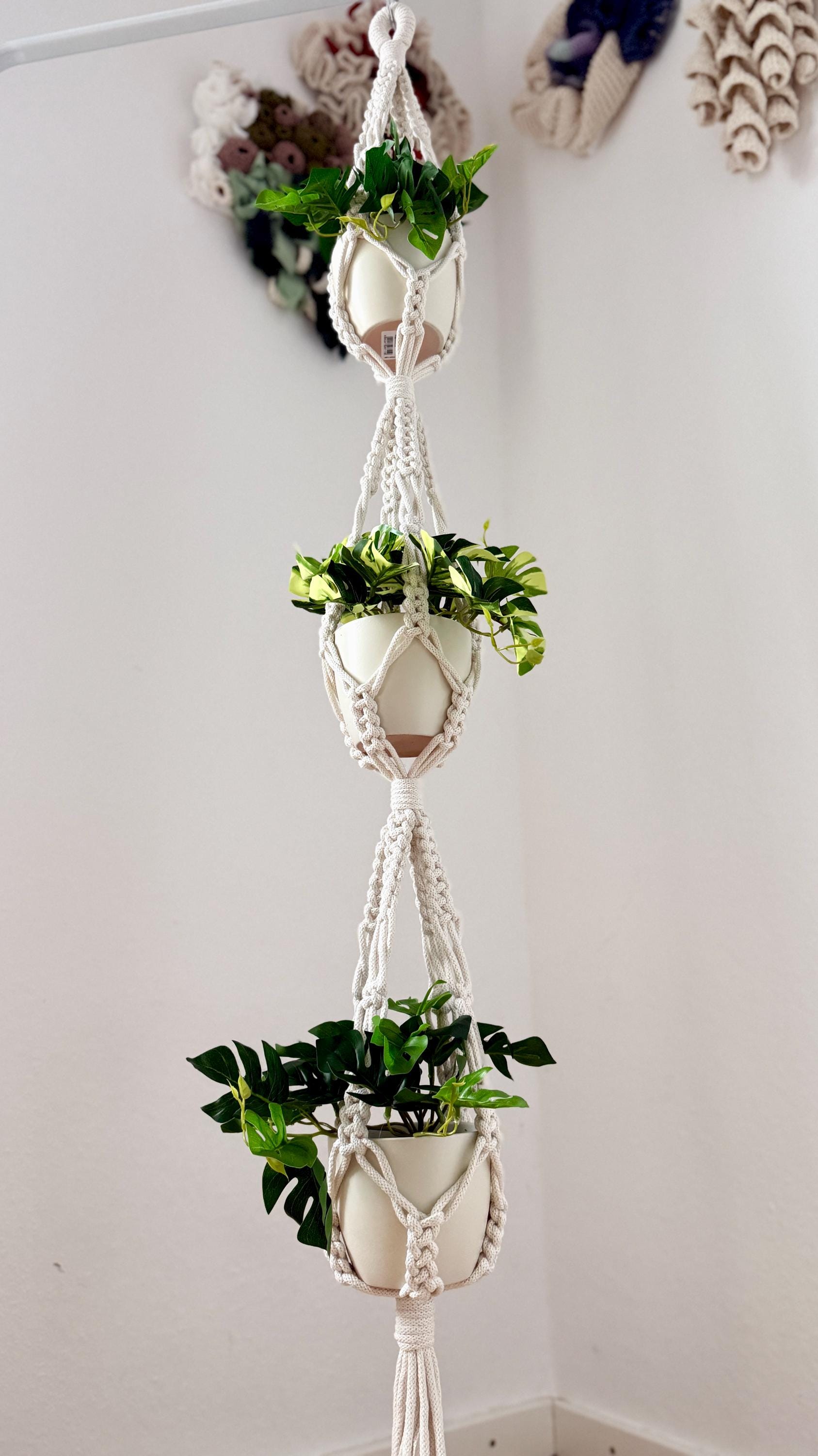 Macrame plant hanger with plants against a white wall