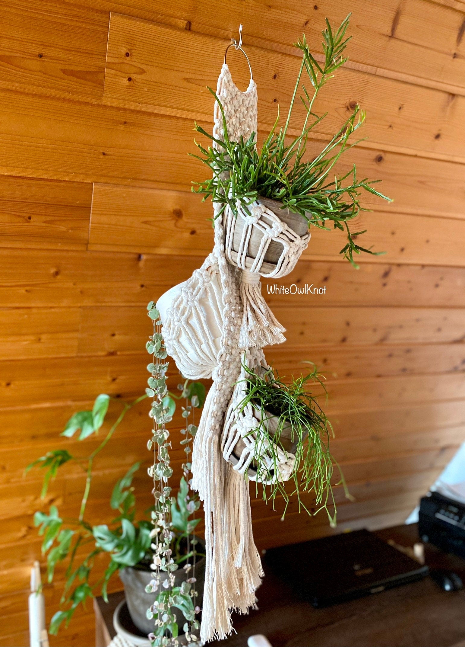 Macrame plant hanger with plants against a wooden wall