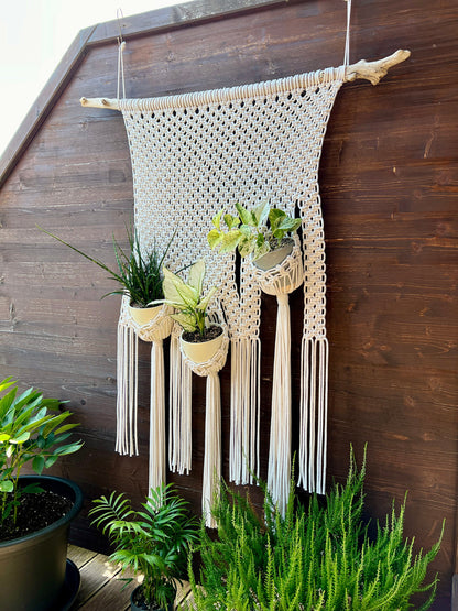 Macrame plant hanger with hanging plants against a wooden wall