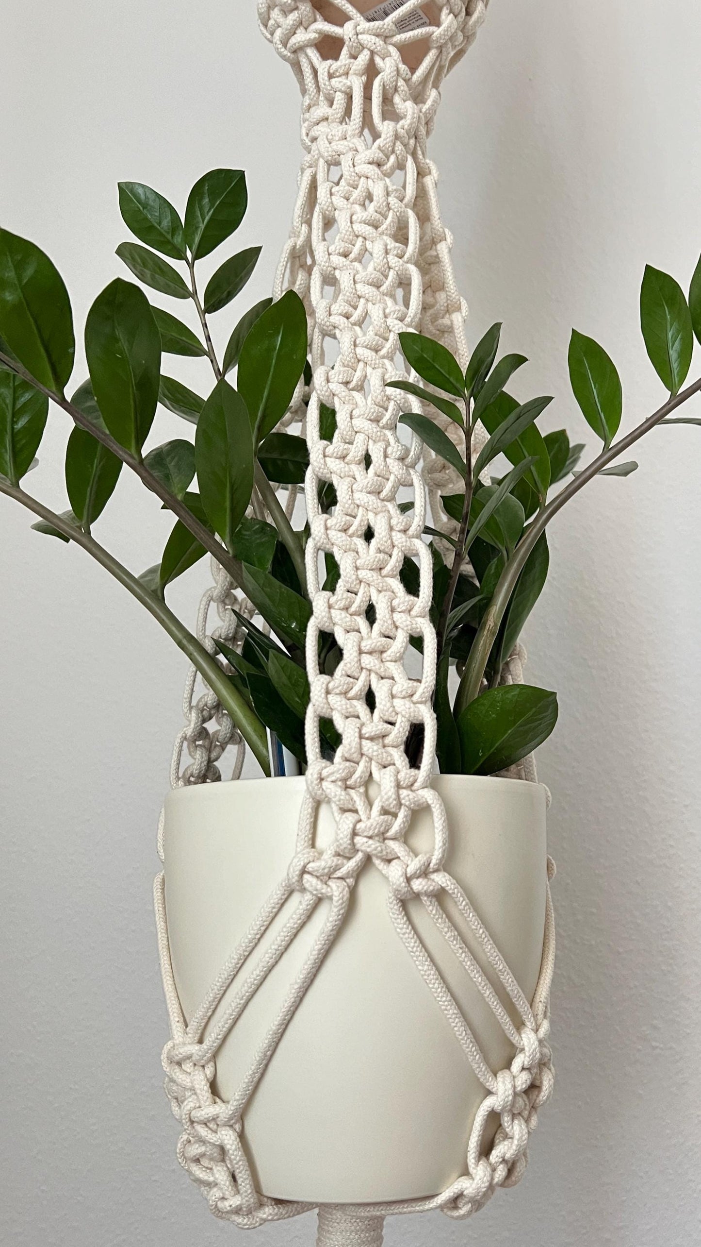 Macrame plant hanger with a white pot containing green plants on a plain background