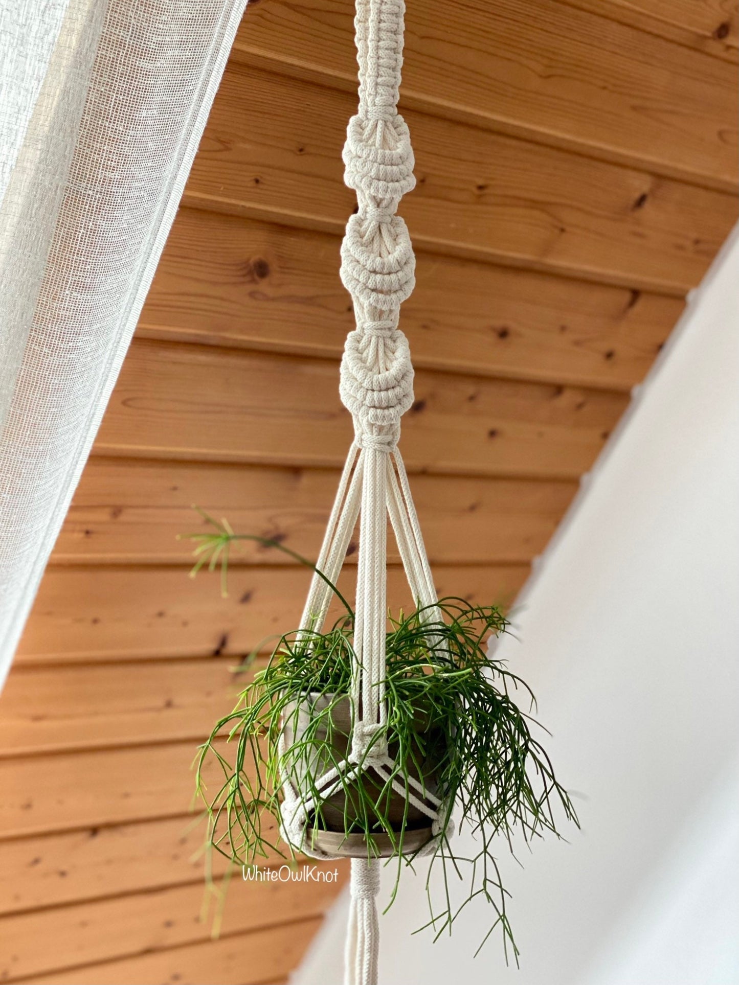Macrame plant hanger with a plant against a wooden wall.