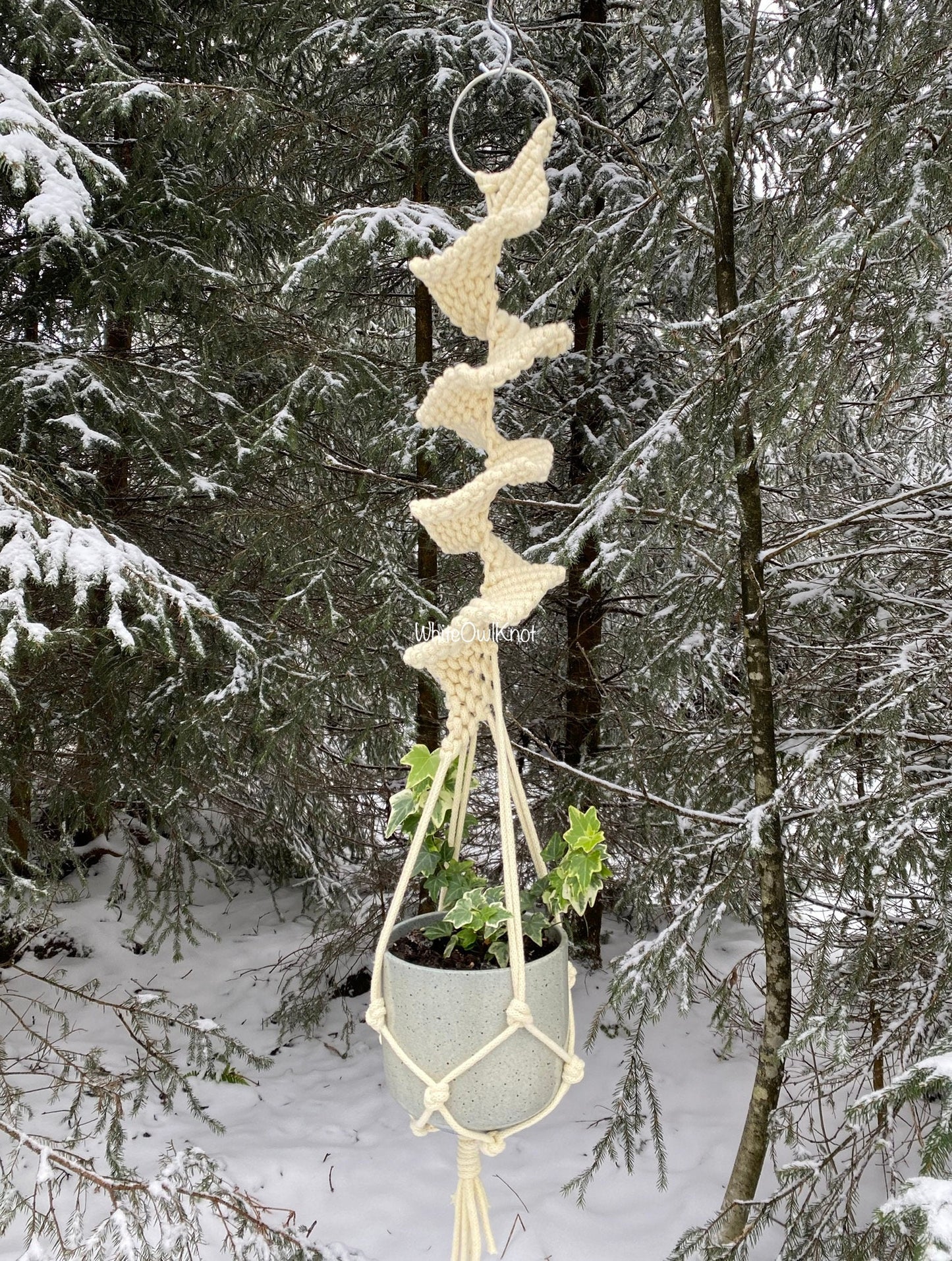 Macrame plant hanger with a plant in a snowy forest