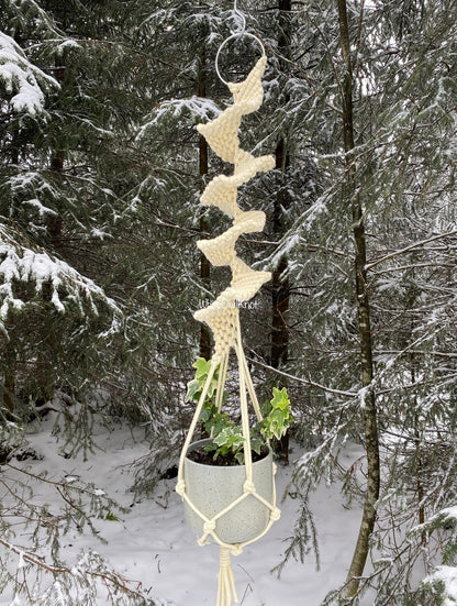Macrame plant hanger with a plant in a snowy forest