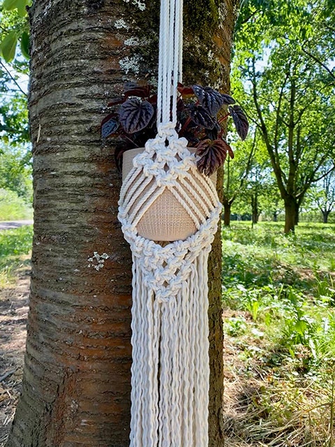 Macrame plant hanger hanging from a tree in an outdoor setting