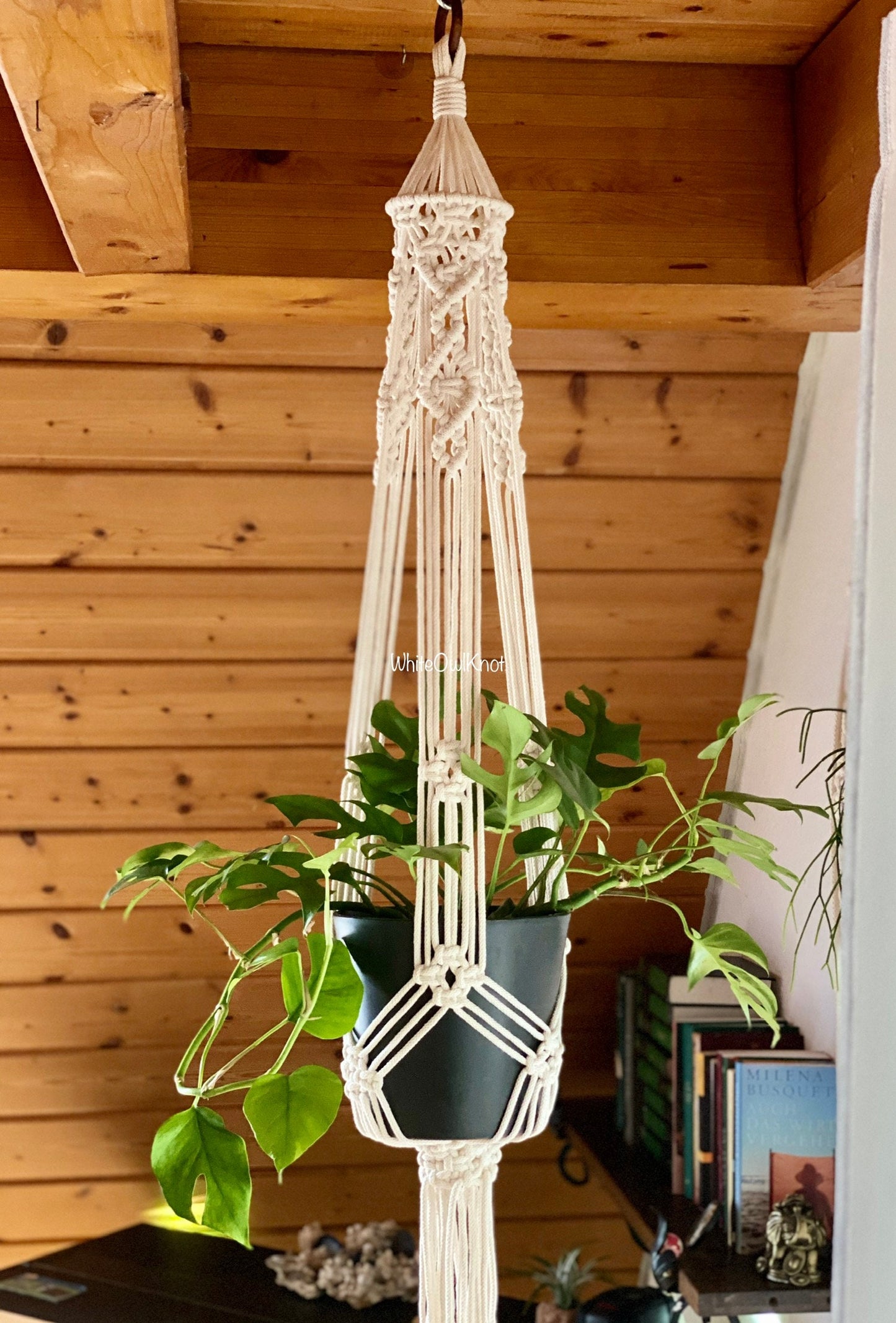 Macrame plant hanger with a plant against a wooden wall.