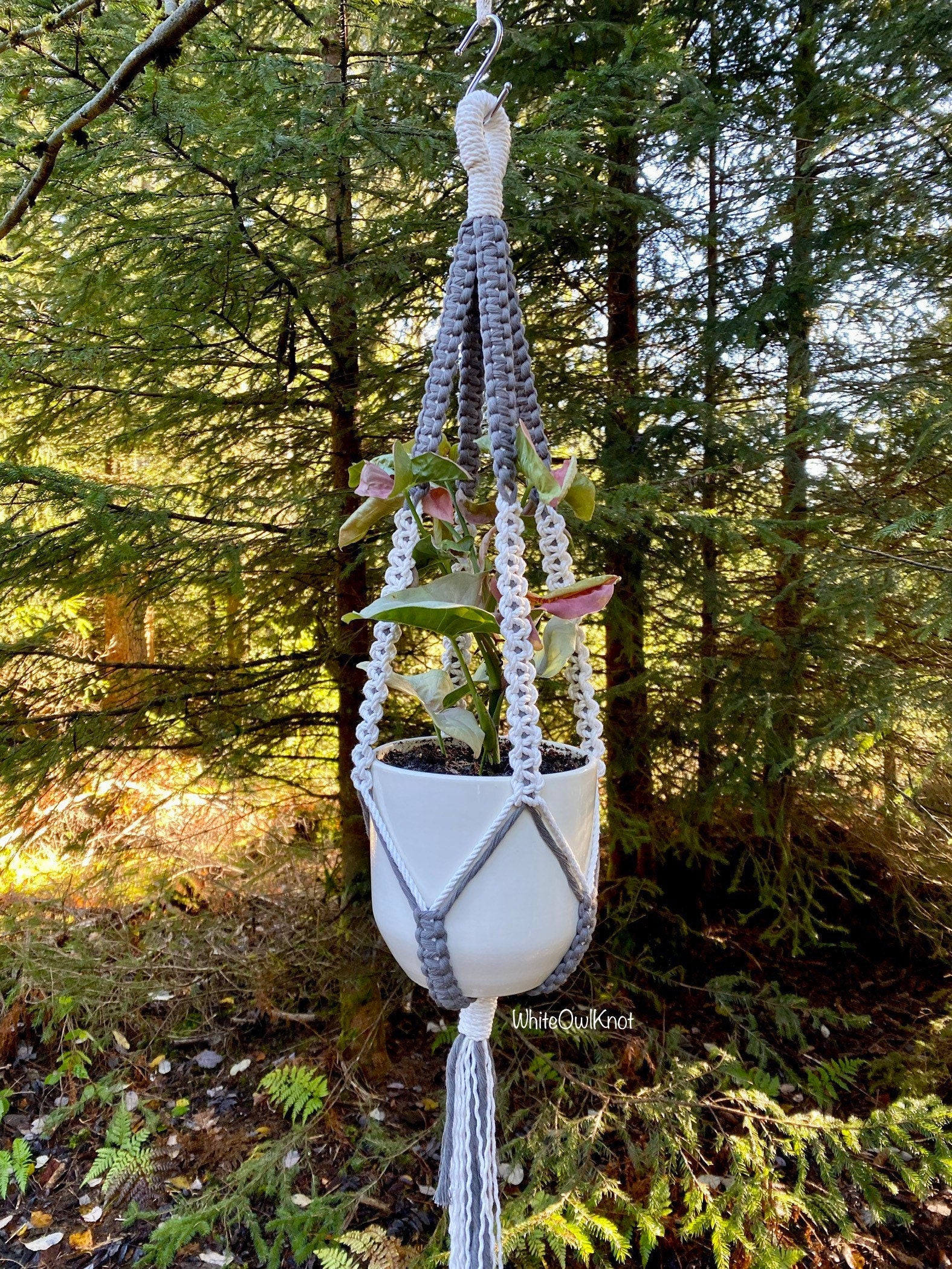 Two-color Macrame plant hanger with a plant against a forest background