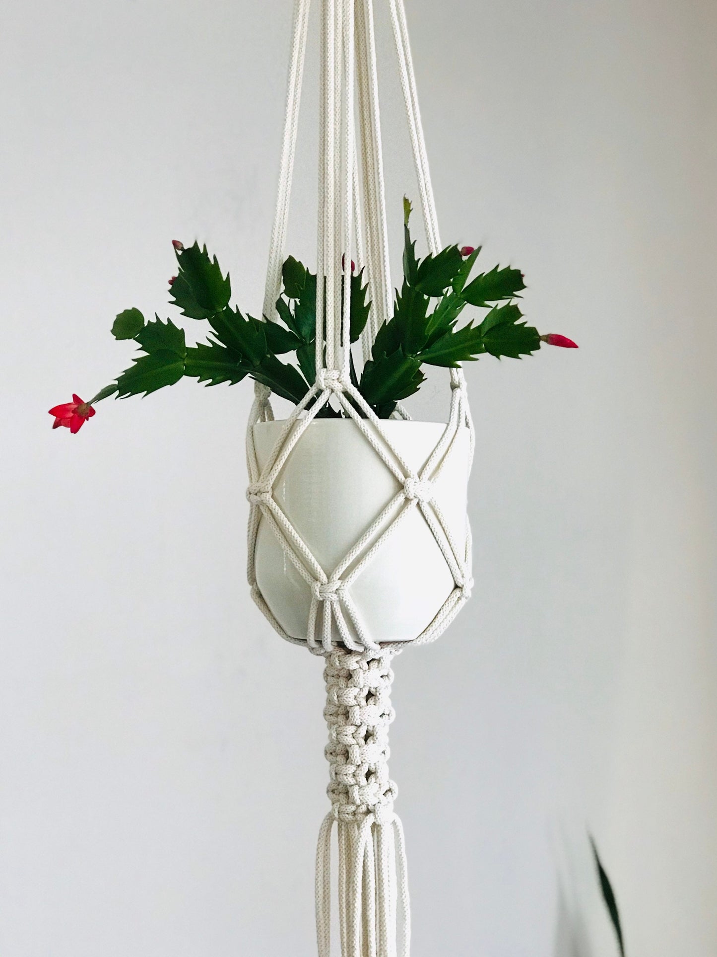 Macrame Plant Hanger PDF Pattern