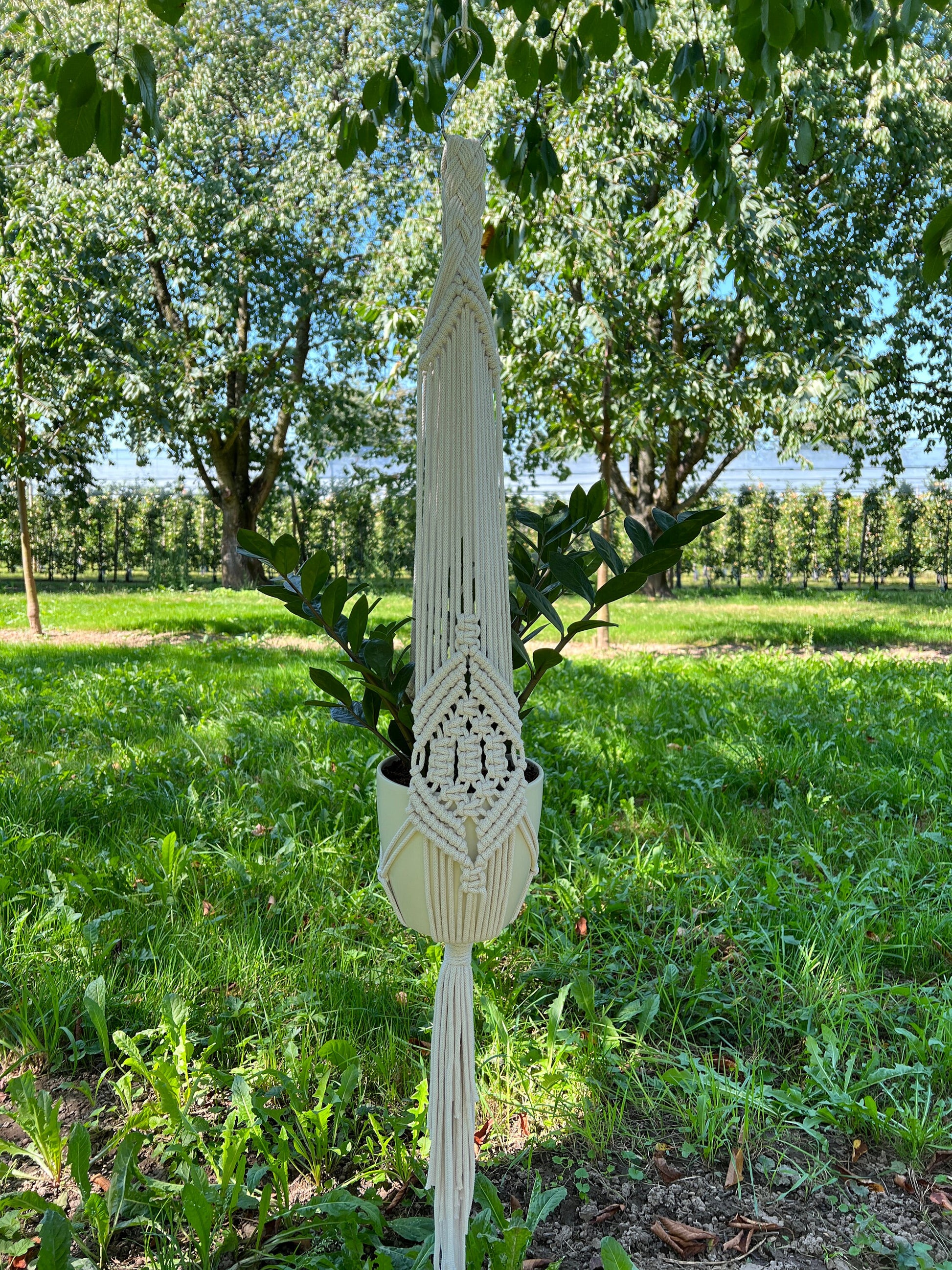 Macrame plant hanger with a plant in a garden setting