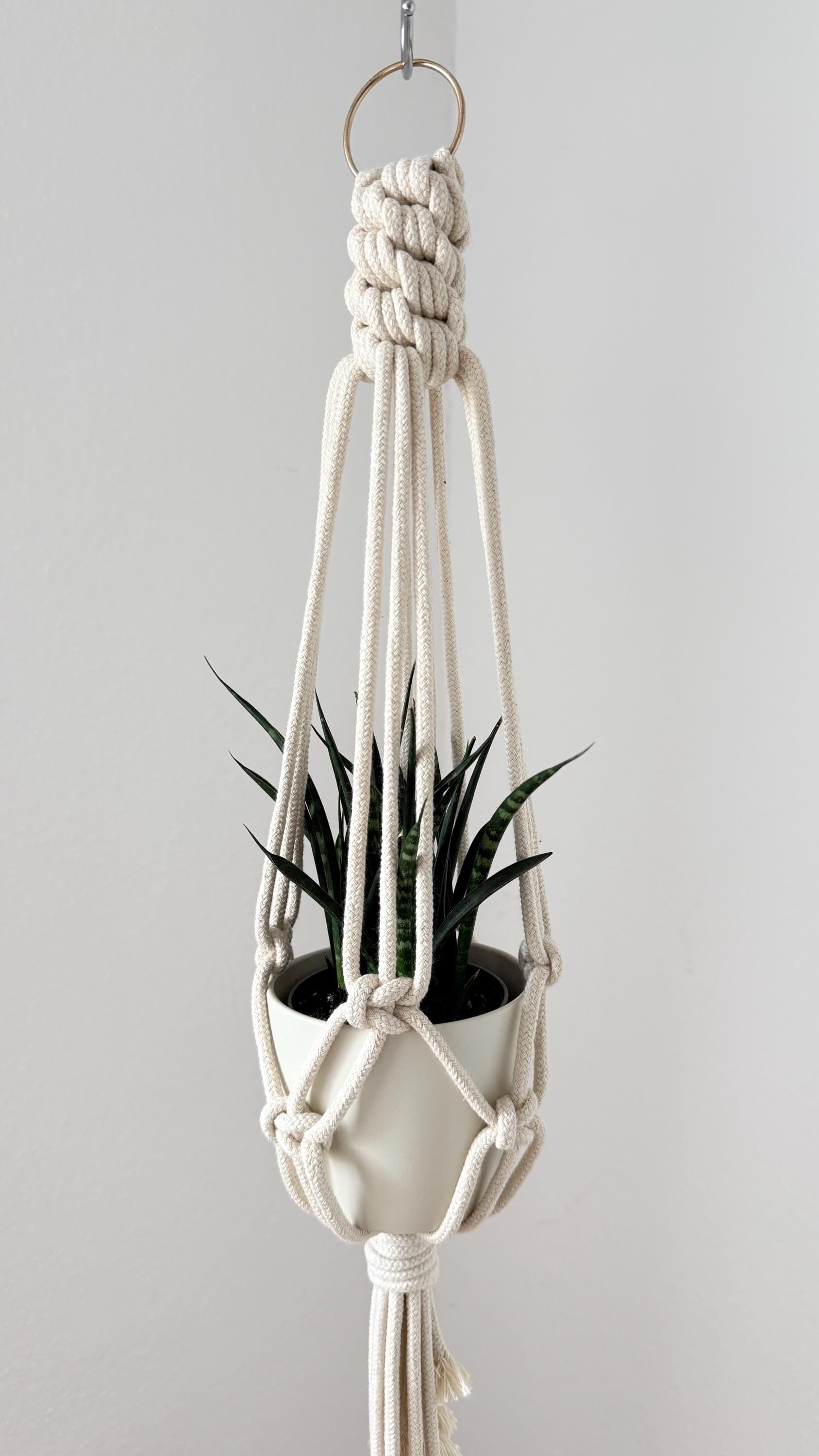 Macrame plant hanger with a plant against a plain background