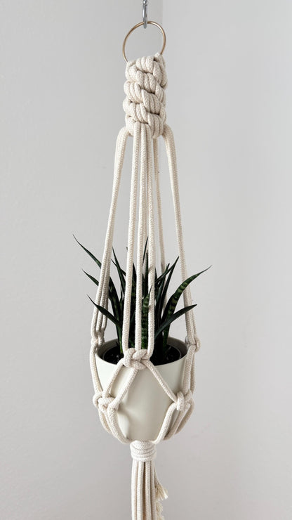 Macrame plant hanger with a plant against a plain background