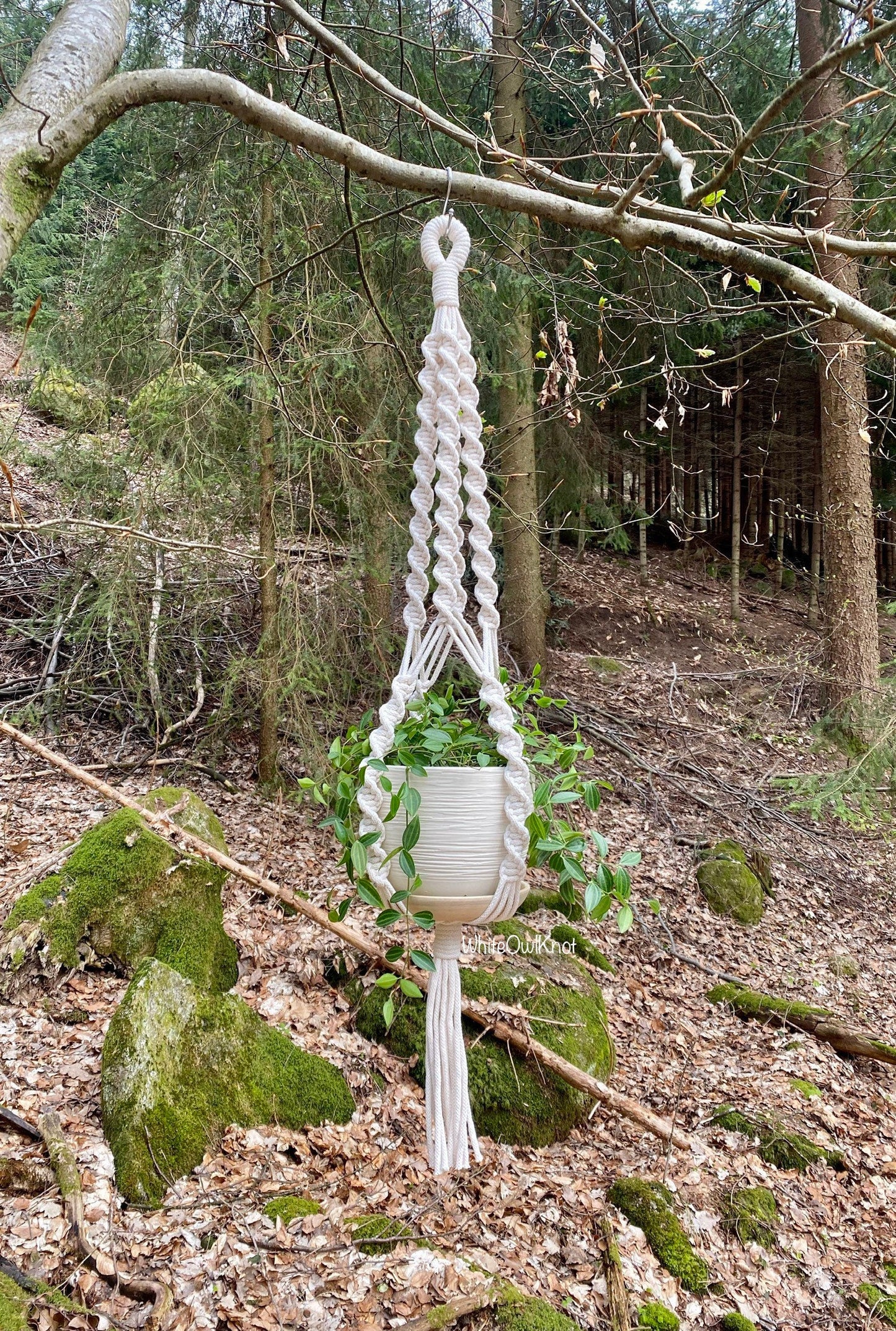 Macrame plant hanger with a pot hanging from a tree branch in a forest setting.