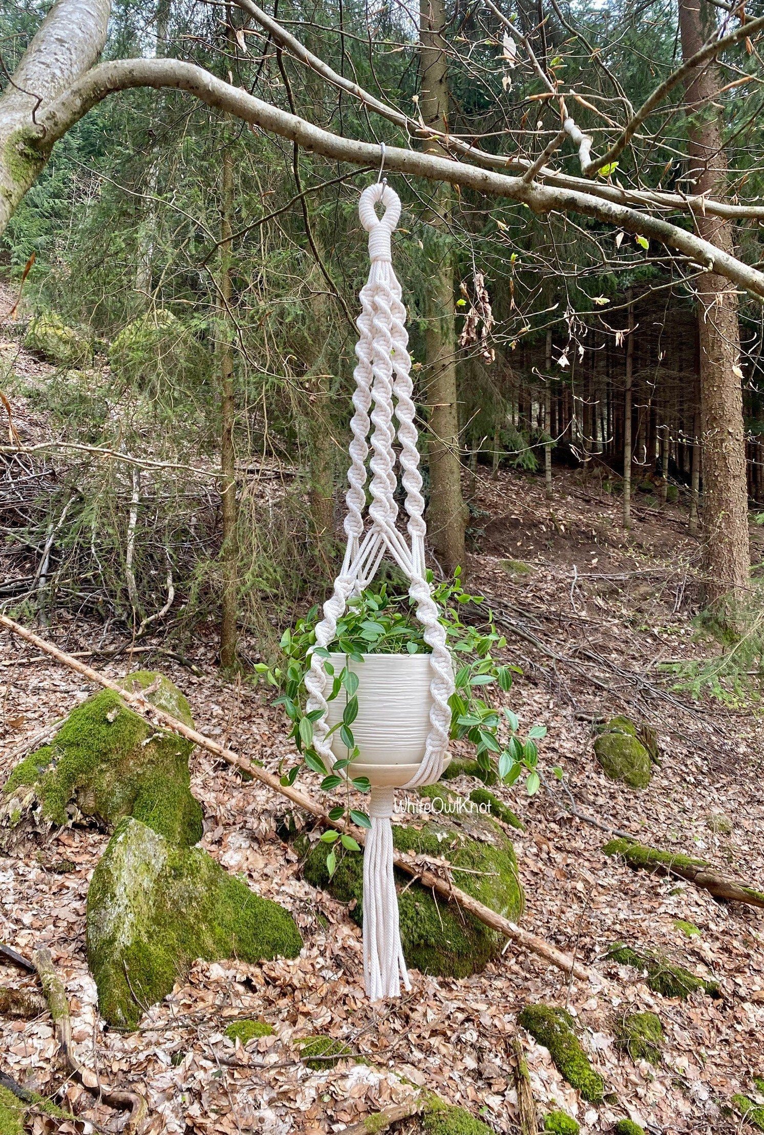 Macrame plant hanger with a pot hanging from a tree branch in a forest setting.