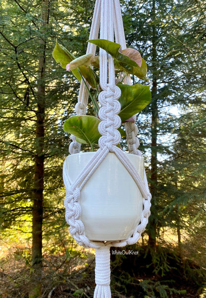 White macrame plant hanger with a plant against a forest background
